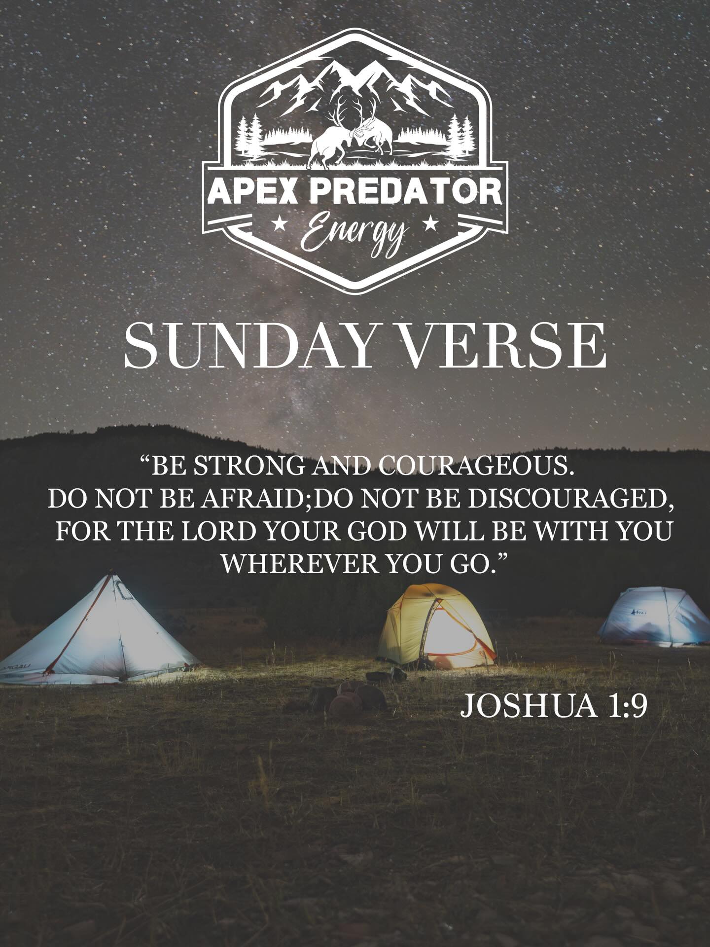 “Be strong and courageous. Do not be afraid, and do not be discouraged, for the LORD your God is with you wherever you go.”
Joshua 1:9