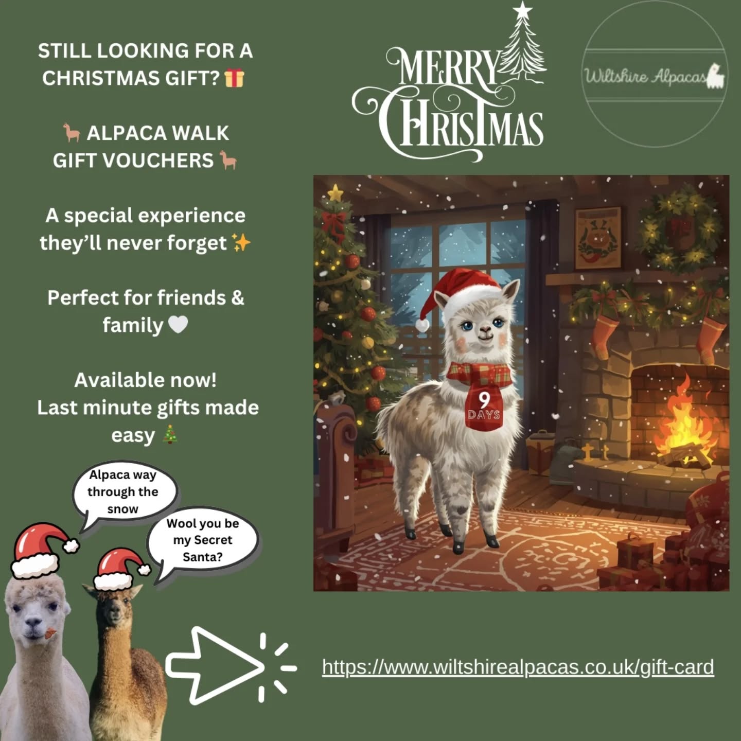 Still stuck for a Christmas gift? 🎁
🦙 Alpaca walk gift vouchers
🎄 Instant & unforgettable
Link in bio or tap the link 😊
https://www.wiltshirealpacas.co.uk/gift-card
#ChristmasGiftIdeas #LastMinuteGifts #AlpacaWalk #ExperienceGifts #Wiltshire #SupportLocal #FarmExperience #AnimalLovers #Christmas2025 #alpacalove
#alpacaadventures #alpacaexperience #alpacas