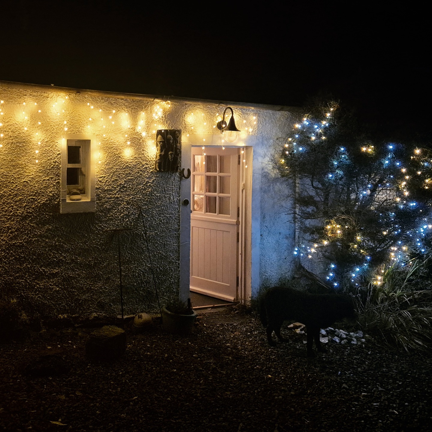 Season's Greetings to all my followers! Thank you for your support this year, from ordering bespoke pieces, to visiting the #forgottenfleecetales exhibition, to sharing in my crafting journey online! I'll be taking a little break from social media for next couple of weeks, as the clan comes together for Christmas, but I can't wait to tell you more about my exciting plans and projects for 2026. Until then, have a happy Yule and a merry Christmas!
#weaver #weaving #weaversofinstagram #fibreart #fibreartist #slowcraft #traditionalcraft #scottishwool #sustainablecraft