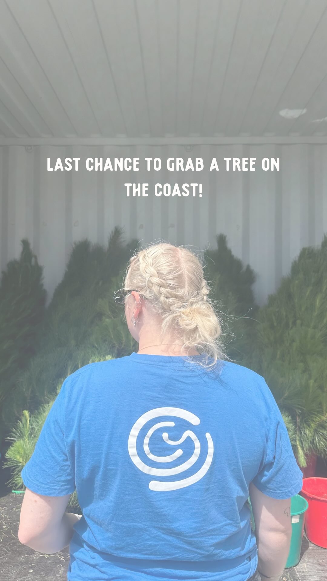 Hello Coasties! We have just received our final delivery of Christmas trees so if you’re still after a beautiful Christmas Tree for you and your family then make sure to come on down this weekend 🎄