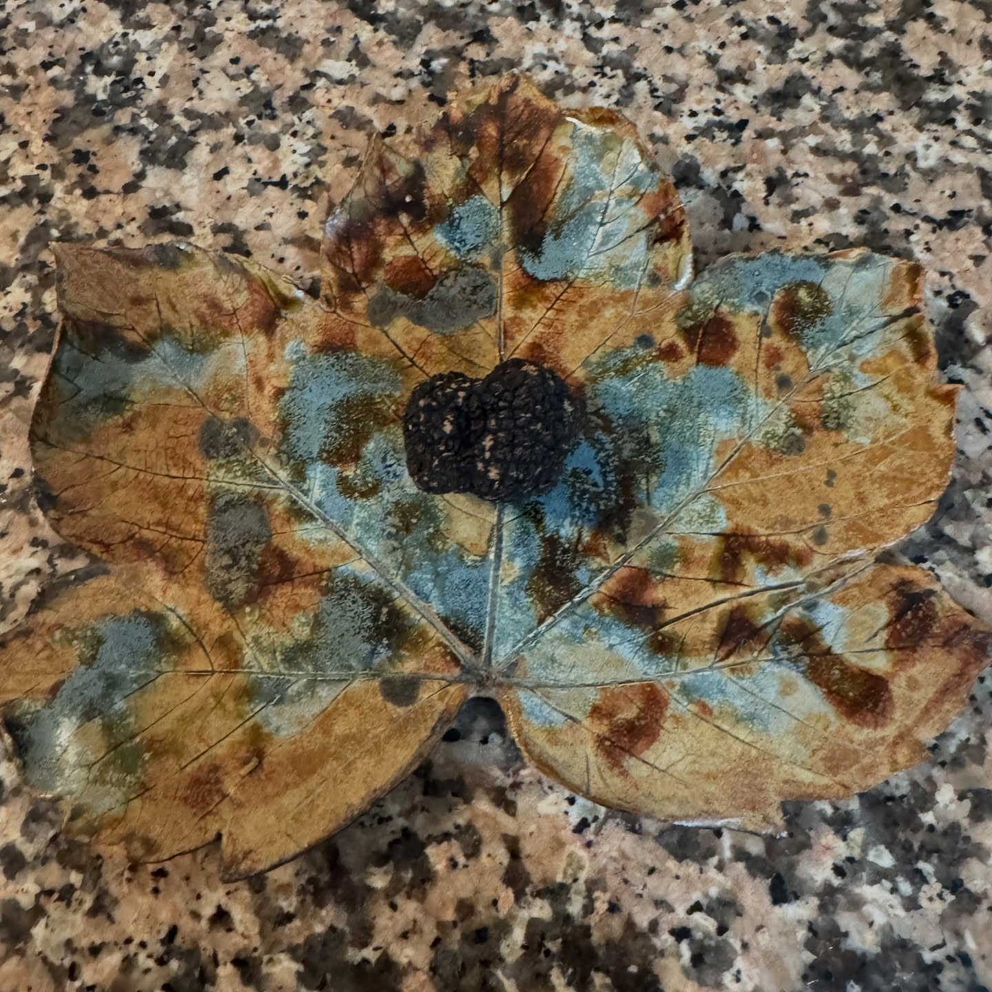 Grateful moments beyond the clinic ✨
A thoughtful Christmas gift from a patient — a beautifully aromatic black truffle. All the way from Finland.
It’s gestures like these that remind me how meaningful trust and appreciation truly are.
Wishing everyone a season filled with generosity, gratitude, and quiet indulgence.
Info@skinsurgeon.eu
Prof Ernest Azzopardi
#Grateful #ChristmasGesture BlackTruffle ThoughtfulGifts SeasonOfThanks QuietLuxur