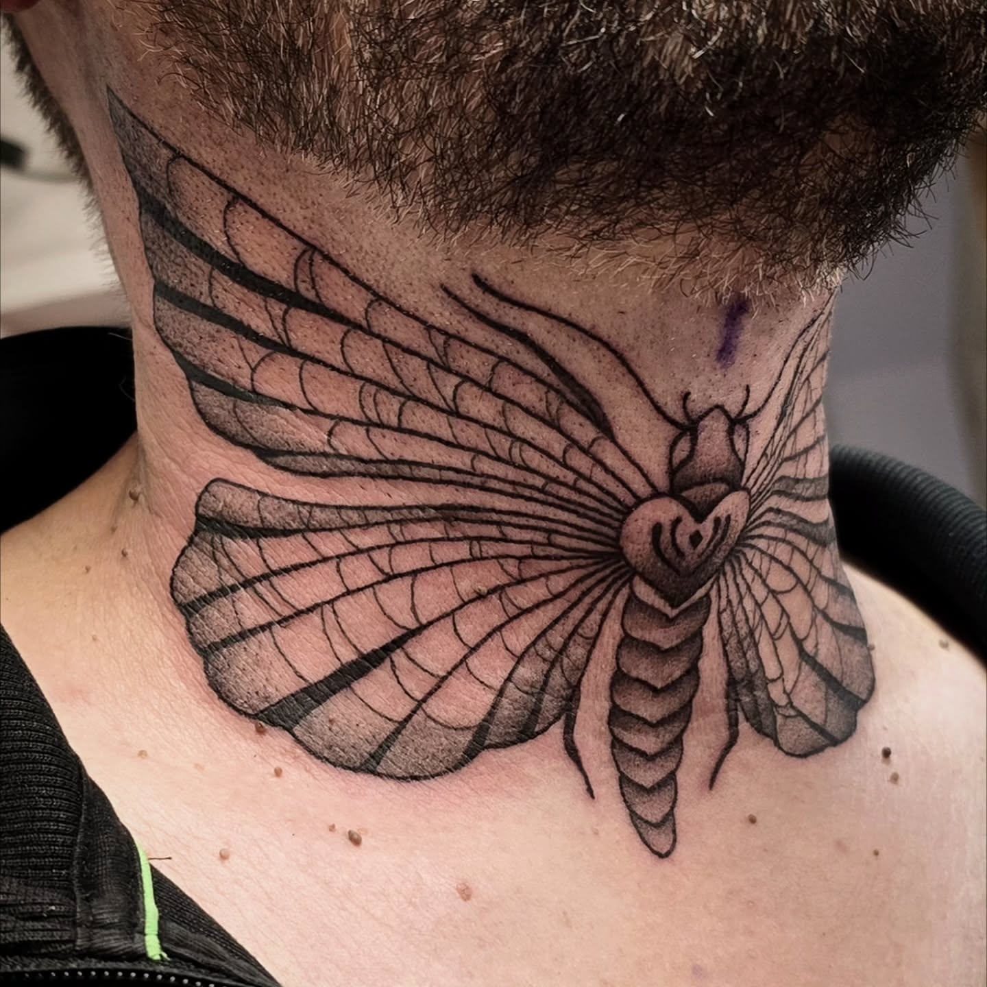 Moth on the throat for Kirk! Tricky to get a good photo of this one ðŦĢ a redesign of an image Kirk found ð
#tattoo #art #design #moth #light