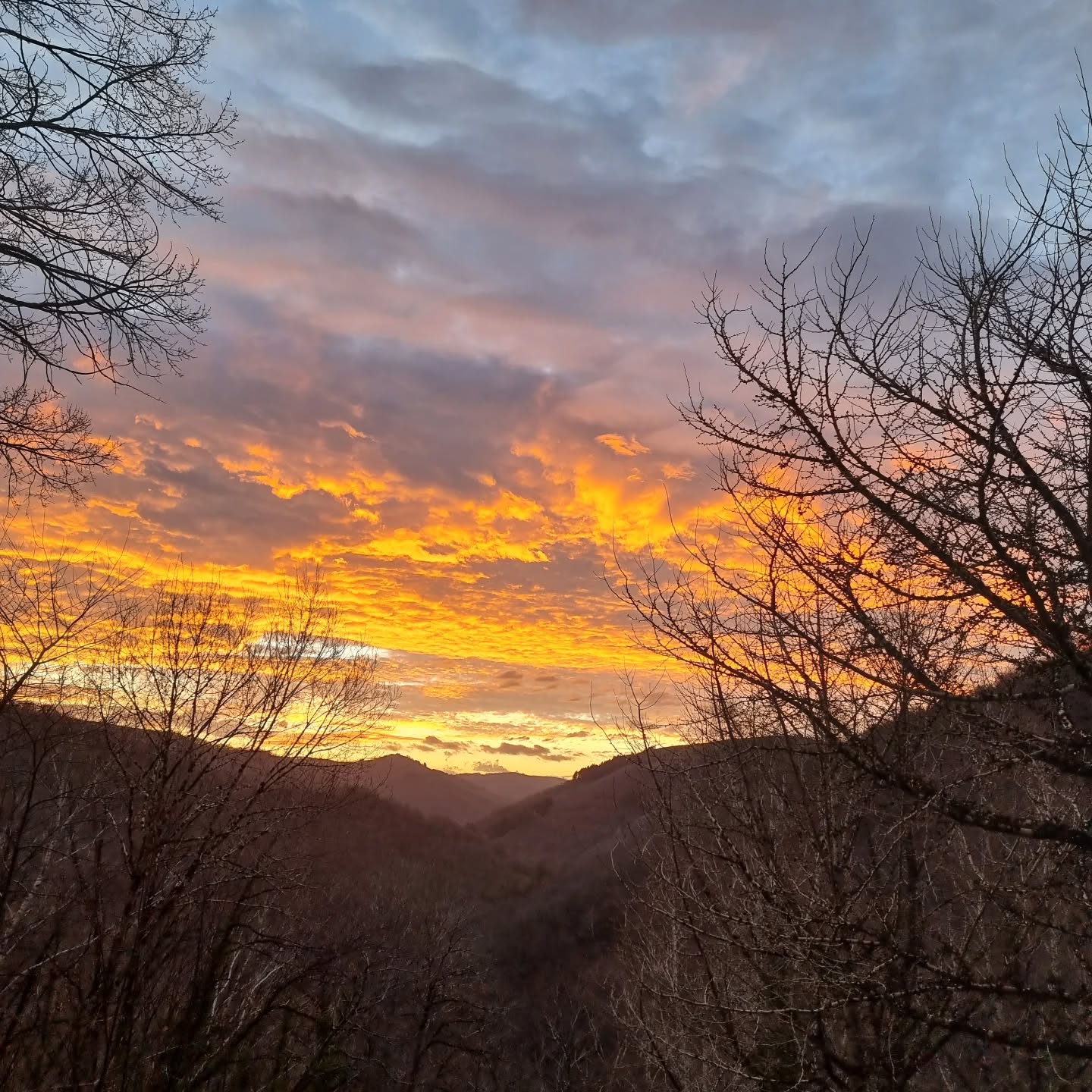 La vue depuis ma chambre ce matin
The view from my bedroom this morning
#viewfrommywindow
#sunrise