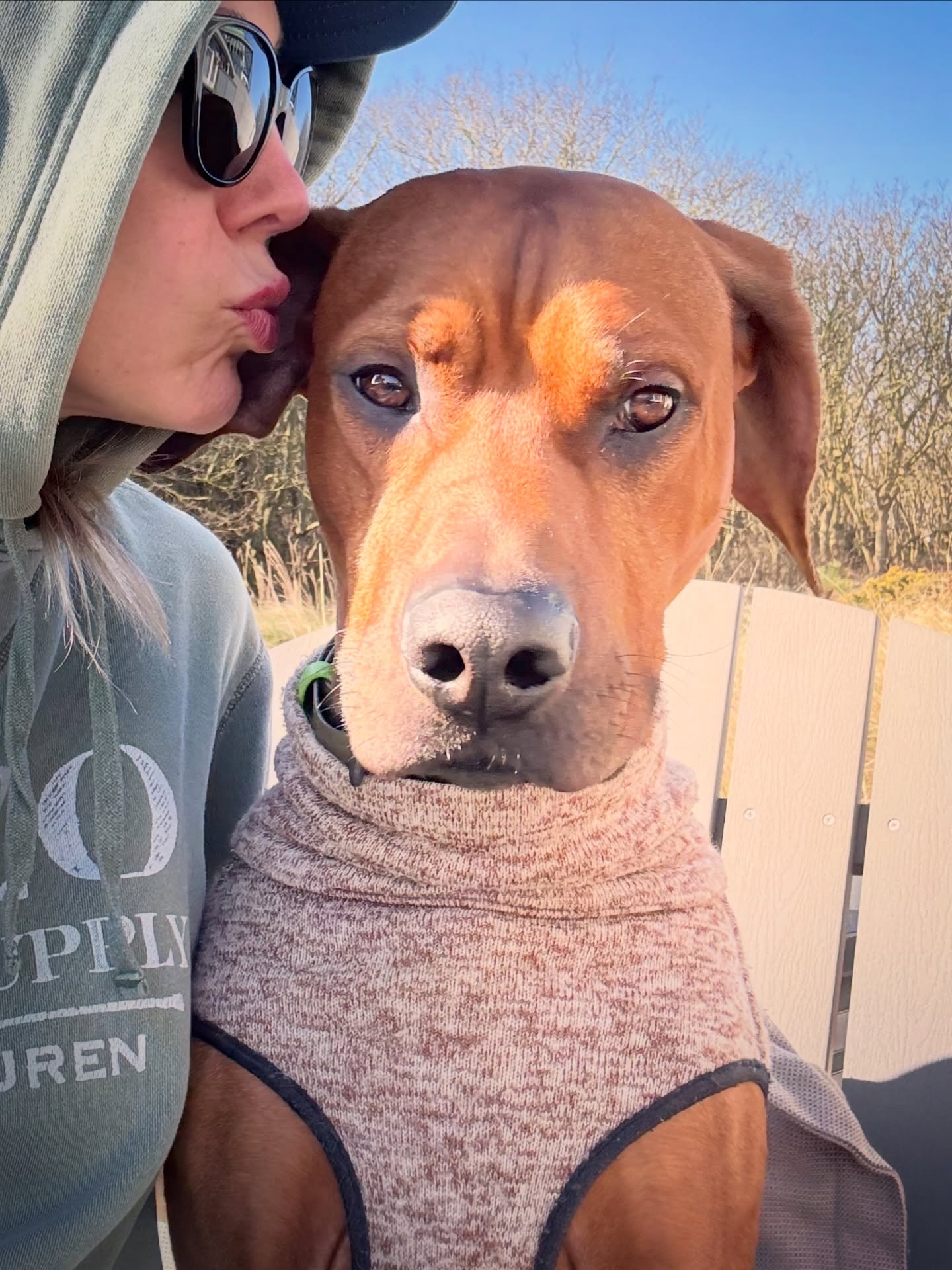 Ich: übertrieben verliebt
Chance: hat das Abo auf meine Küsse akzeptiert.
.
.
#rhodesianridgeback #ridgeback #ridgebacklove #🐶 #kiss #hundeliebe