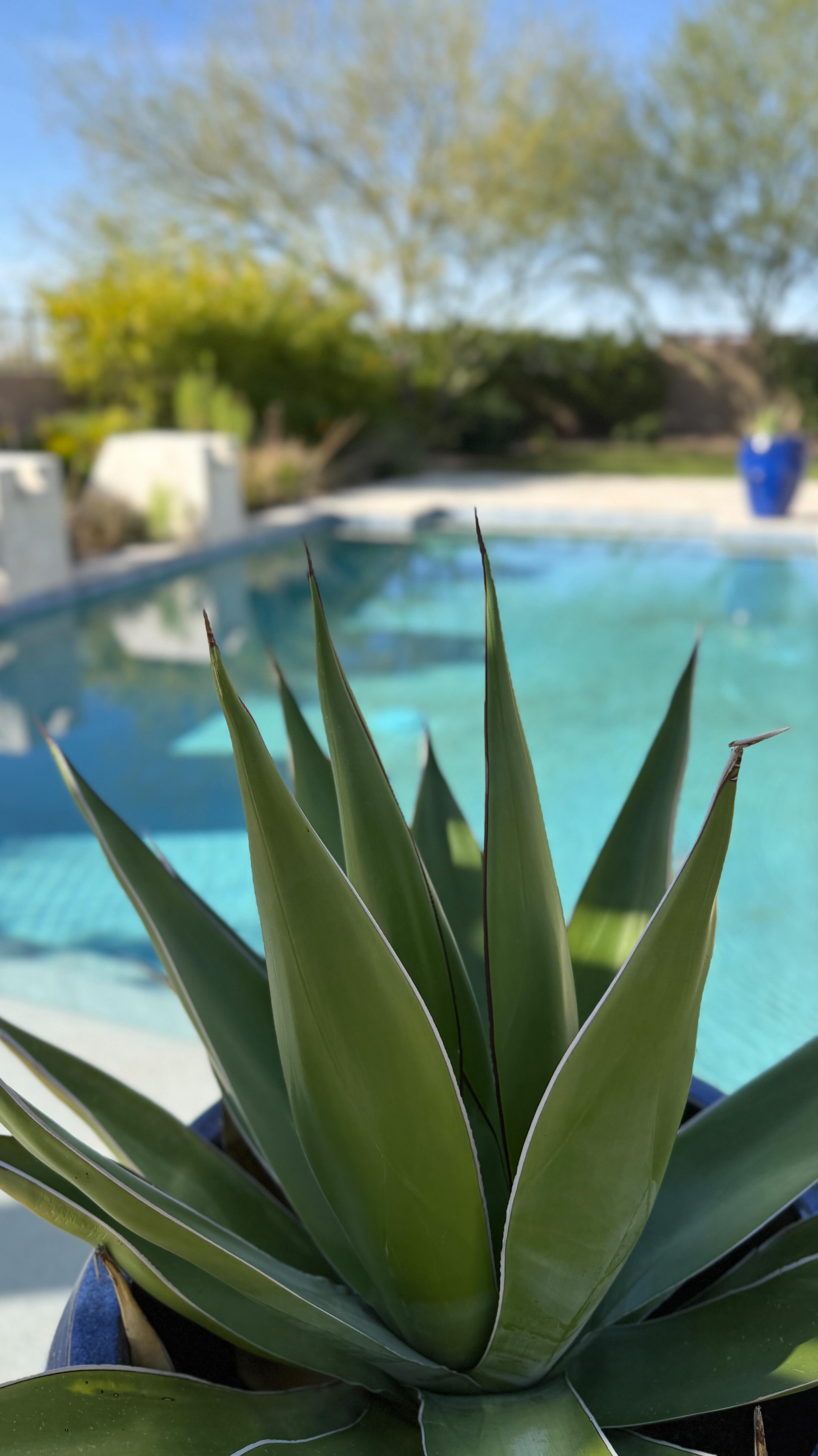 Welcome to 8599 E Sand Flower Dr, a stunning 5,070 sq. ft. estate in gated Sierra Highlands with 4 beds, 5 baths, and nearly 2 acres of desert paradise.
šµ Heated pool, private courtyard with fireplace, putting green, panoramic mountain views, designer finishes and yes, plenty of room for that avocado toast bar you always wanted. š
Ready to make every day feel like a staycation?
Listed by Darren Tackett.
DM or click the link in bio to schedule your private tour.
š” Kevin McDonald, RealtorĀ®
Licensed in AZ & OR
eXp Realty, Tackett Team
š² 503.544.6378
š KevinMcDonaldHomes.com
⨠Finding your dream home one step at a time.