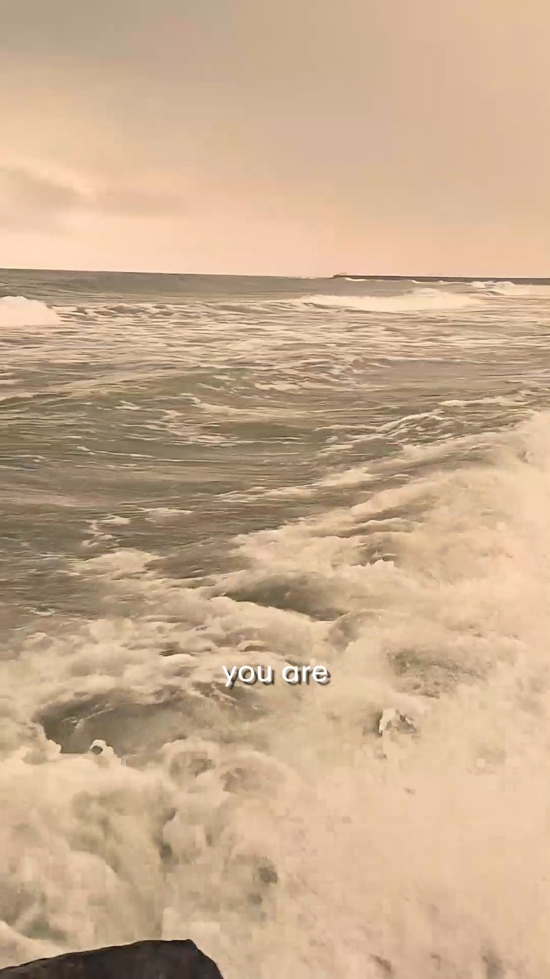 Ever noticed how the ocean calms you without asking you to explain anything?
That’s because the ocean teaches your nervous system how to breathe again.
In ocean meditation, your thoughts become waves they rise, fall, and pass without needing control.
The more you let the mind move like water, the more naturally peace finds you.
You don’t have to silence yourself… you just have to flow.
ocean meditation, calming practice, nervous system healing, mindful breathing, inner peace
#oceanmeditation #meditationpractice #innerpeace #mindfulliving #findingyou #healingjourney #nervoussystemregulation