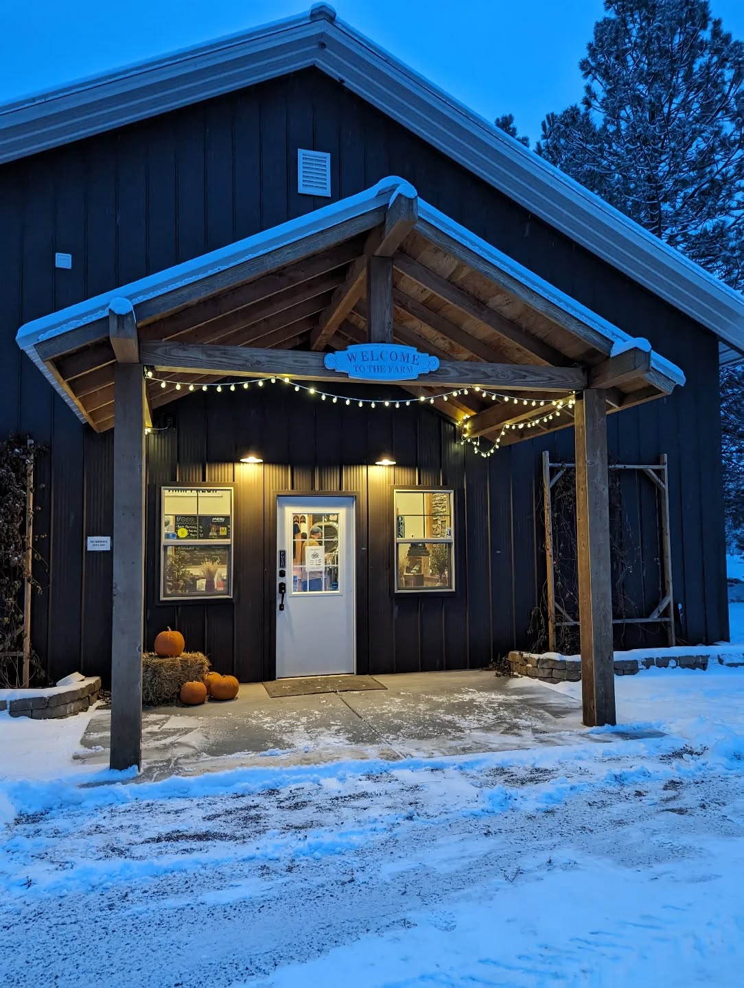 āļø Weāre Sold Out for the Season ā Thank You!
Thank you for another wonderful year at Lone Mountain Farms. Weāve truly loved milling single-source heritage grains for our community, and it brings us so much joy to hear what youāre baking with them.
š«¶ One of our favorite notes this season said it best:
āI donāt make anything bread-wise without using some of your flour! Made some pumpkin gut bread everyone raved about with spelt. I canāt wait to get my sourdough going again and use some of your wheat.ā
Because of your incredible support, youāve officially bought us out of all of our grain for the season! We hope our flour added extra flavor, nourishment, and joy to your cakes and bakes this year.
From our mill to your kitchenāthank you for choosing local, single-source grain and for being part of our journey.
Cheers to you, and wishing you a Merry Christmas and a Happy New Year. āØ
- Luke & Emily