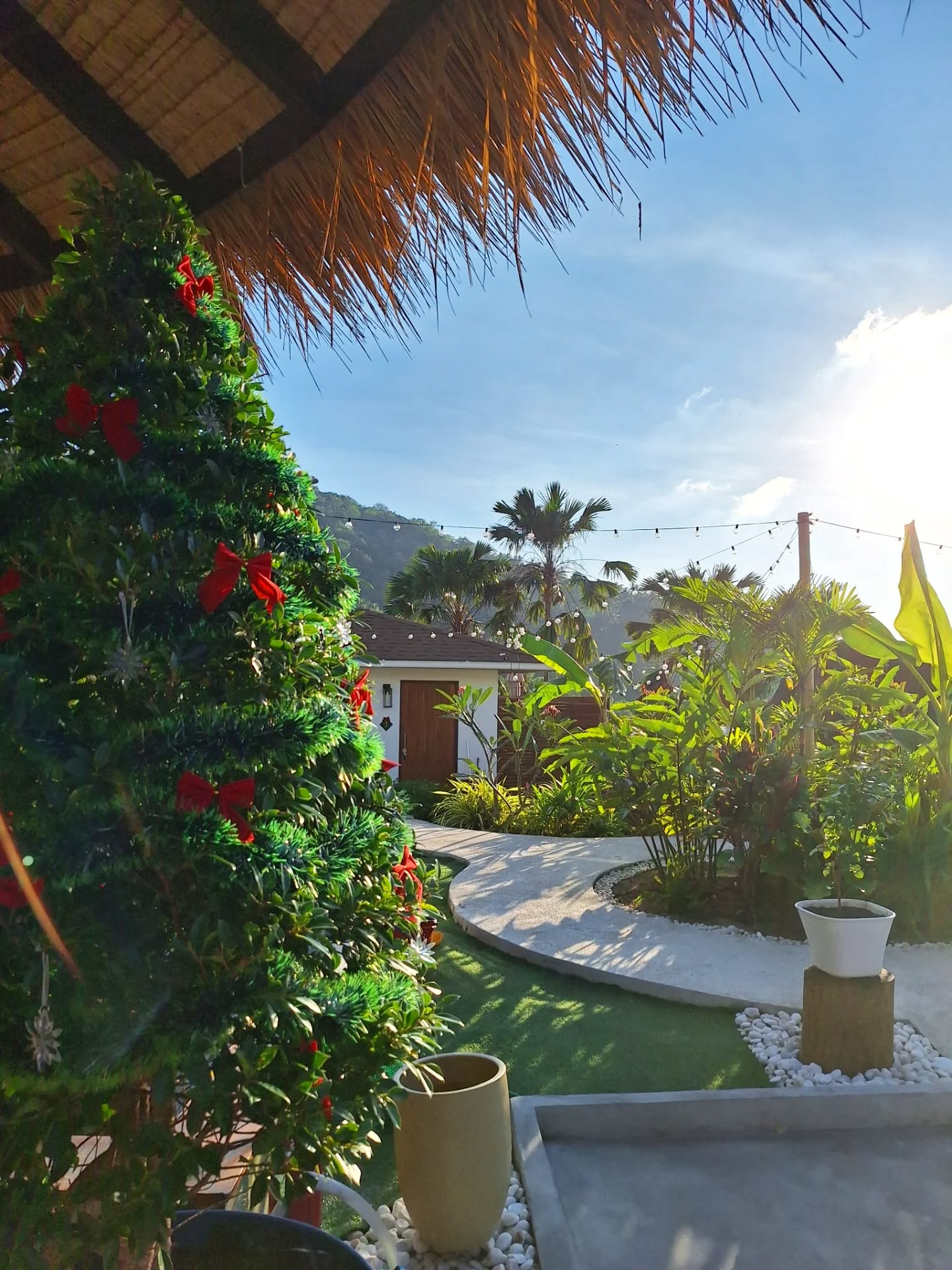 Our first Christmas at Secret Garden Eco Pool Villas!
At day and at night 😍😍 which do you prefer??
#christmastree #christmasholiday #tropicalchristmas #kohtao #travelthailand #travelkohtao #secretgardenecopoolvillas #poolvillas #ecovillas