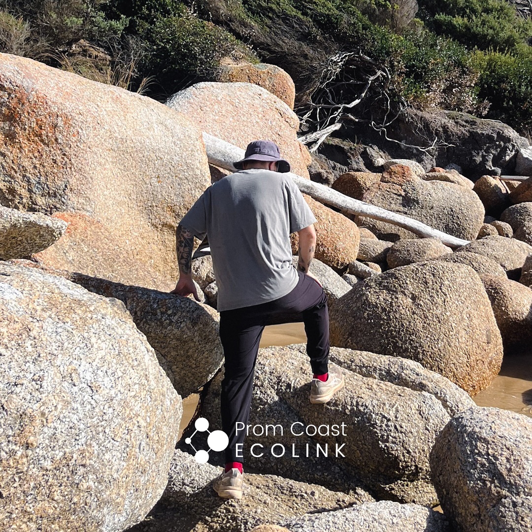 🪨 Prom Granites Geology Beach Walks
📅 8 & 15 January | 📍 Tidal River, Wilsons Promontory
@promcoastecolink X @friendsoftheprom X Fish Creek Landcare X @coastcare_victoria
Step back millions of years and explore the ancient granites of Wilsons Promontory on these FREE guided beach walks led by renowned geologist and palaeontologist Mike Cleeland.
As we wander along Tidal River and Norman Beach at low tide, Mike will bring the Prom’s geological story to life, using insights from Wilsons Promontory – Geology Guide (a copy included with each booking)
What to expect:
• Easy coastal walk at low tide
• Fascinating stories of the Prom’s ancient landscapes
• A deeper understanding of the rocks beneath your feet
👥 Limited to 30 people per walk
📖 One guidebook per booking
We are proud to be running these walks as part of Coastcare Victoria’s 2026 Summer by the Sea. With over 100 free activities, hosted by 28 environmental organisations, like us, now open for bookings across Victoria’s 2,500km of coastline, from January 3 to January 18.
🔗 Bookings essential – link in bio
This Summer by the Sea activity is supported by Coastcare Victoria and the Victorian Government.