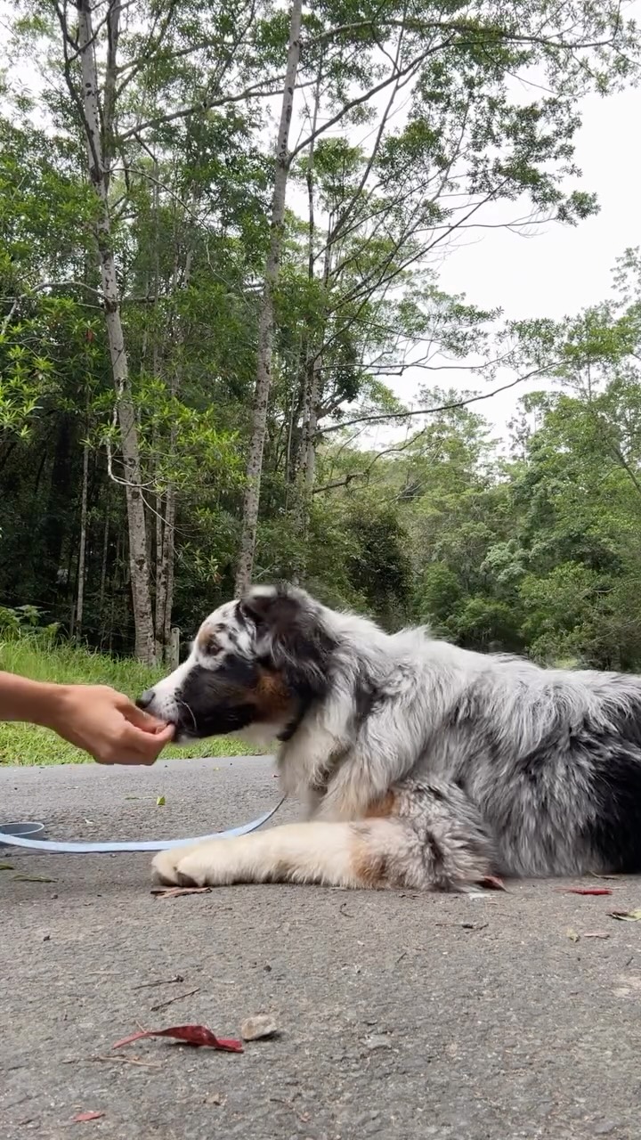 Lil bitta Tuesday and Wednesday ☀️