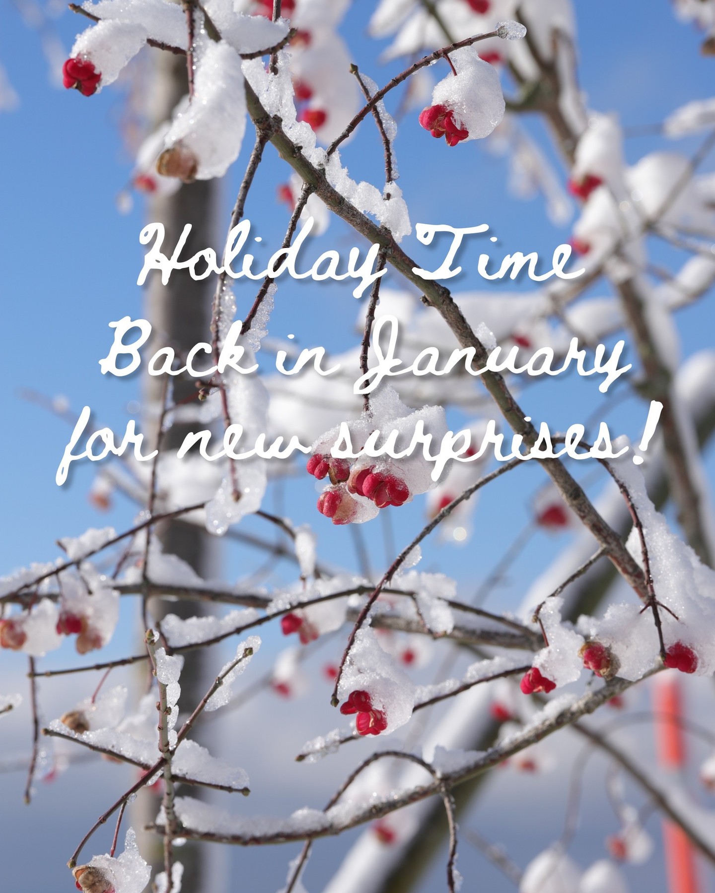 I’ll be away until 5th of January !
All orders on the eShop from tomorrow will be dispatched after my return 📦
Let’s keep in touch, I’ll probably be back with plenty of wonderful new treasures for you✨🤩
because I never stop hunting wherever I go !
♻️ Choose vintage tableware and be kind to the planet.
📱Follow my Instagram to make sure you’ll never miss a novelty.
#kitchenbrocante #instabrocante #brocanteenligne #brocantesuisse #suisse