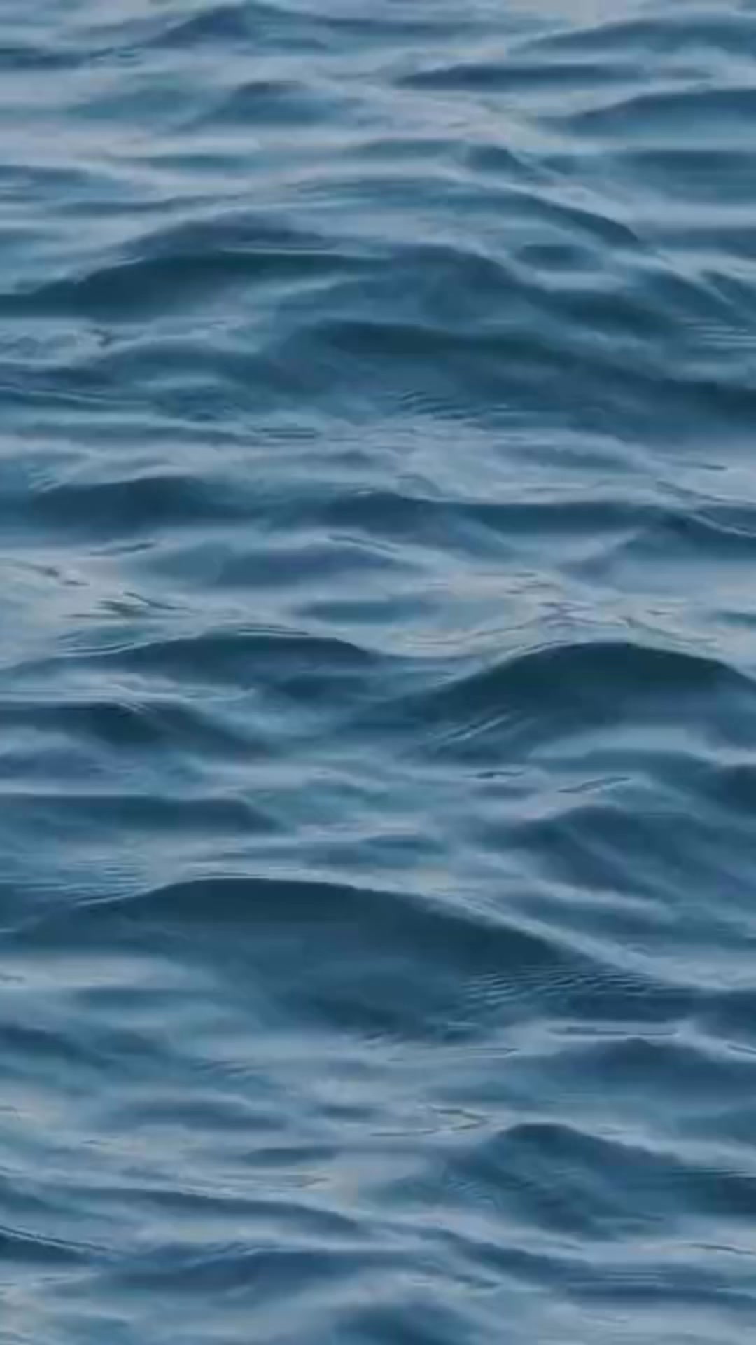 Health through 💦 water
@followers
A gentle break from it all. Water, warmth and well-being – just the way it should feel. Health through 💦 water
A gentle break from it all. Water, warmth and well-being – just the way it should feel.
En myk pause fra alt. Vann, varme og velvære – akkurat sånn det skal føles.
#lillehammerspa
#velvære#wellness