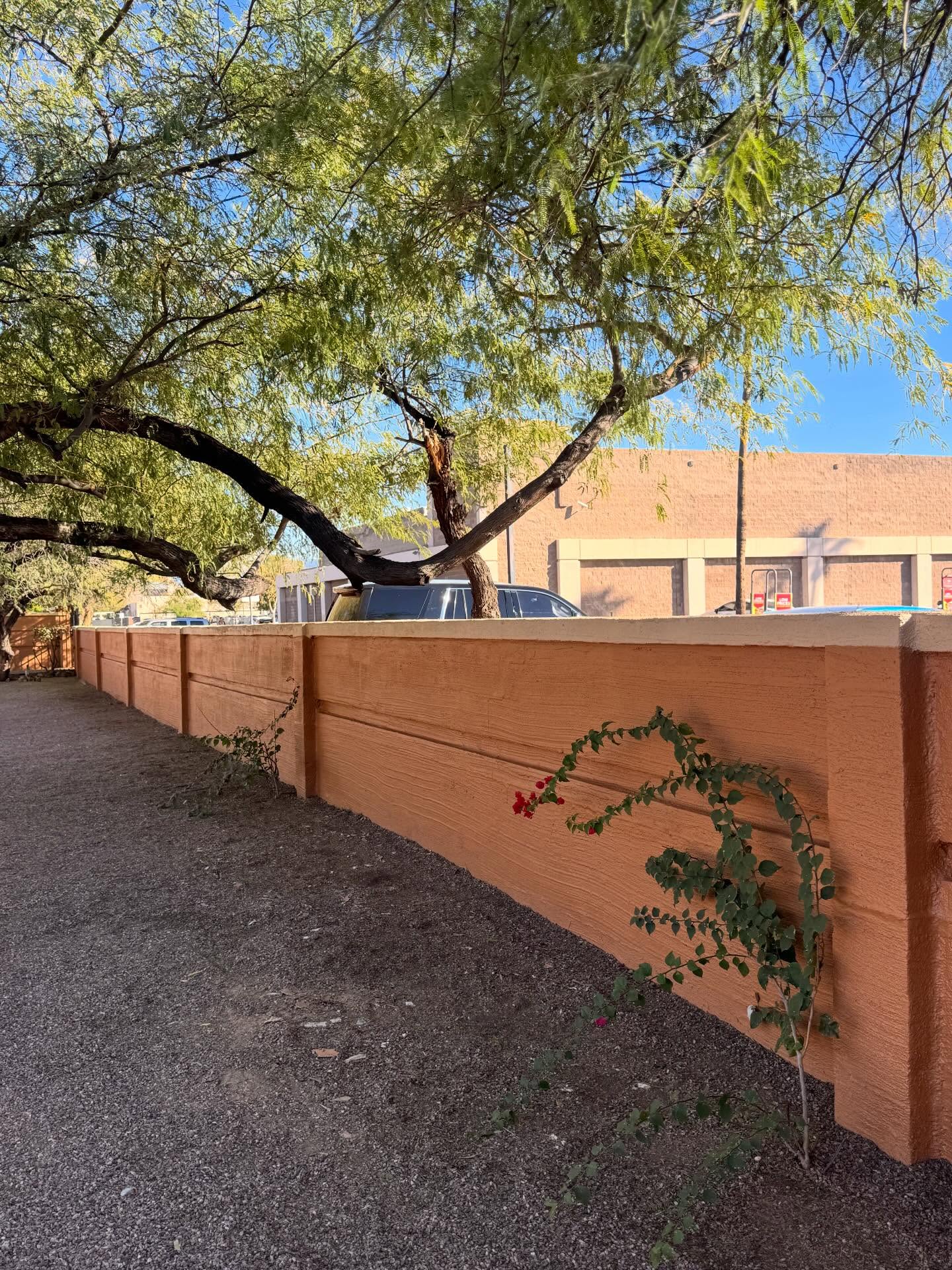 HOA exterior wall project completed. ✔️ 🙌🏻
This project included miles of long HOA walls with extensive stucco repairs, texture matching, full power washing, priming, and a clean, consistent repaint to restore and protect the community. Proper preparation is key on large-scale HOA projects, and the results speak for themselves.
💎 520-479-4035
💎 contact@lgndpainting.com
💎www.lgndpainting.com
#HOAPainting #HOAWalls #CommunityWalls #StuccoRepair #TextureMatching ExteriorPainting CommercialPainting TucsonPainters LGNDPainting
