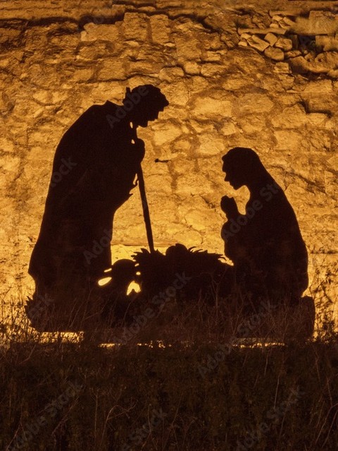 The first Christmas happened in Palestine, in a community living under occupation. Christ was born into struggle, and still, new life took root. Hope grows in unlikely places. Choosing life—care, courage, protection—is an act of resistance.
#BelovedCommunityCharlotte #CLT #RootedandRadical