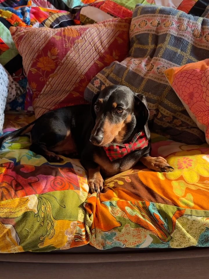 Christmas 🎄 Vibes