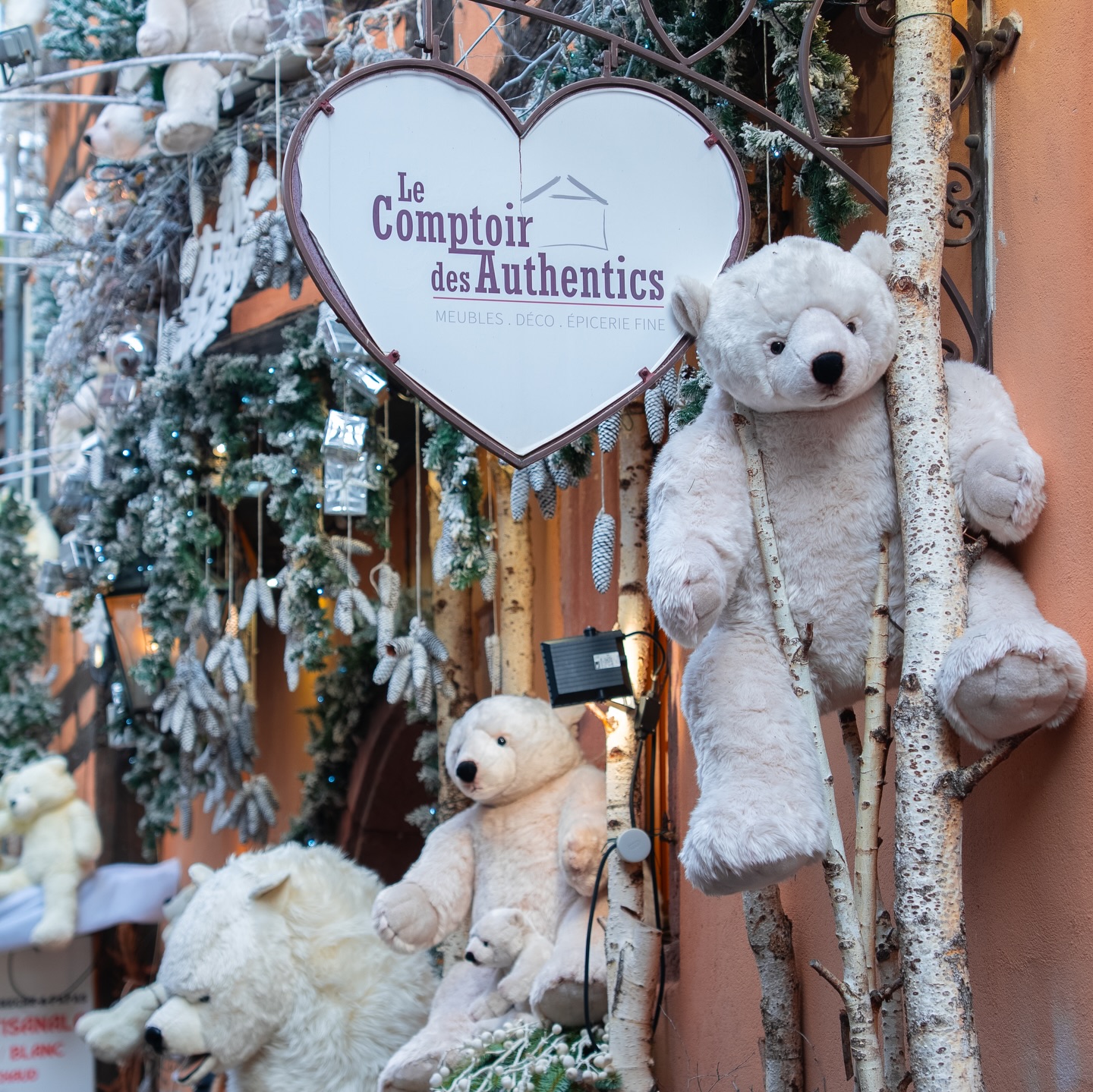 Dernière ligne droite pour le marché de Noël de Riquewihr !🎅
#noel #riquewihr #oursrodolphe