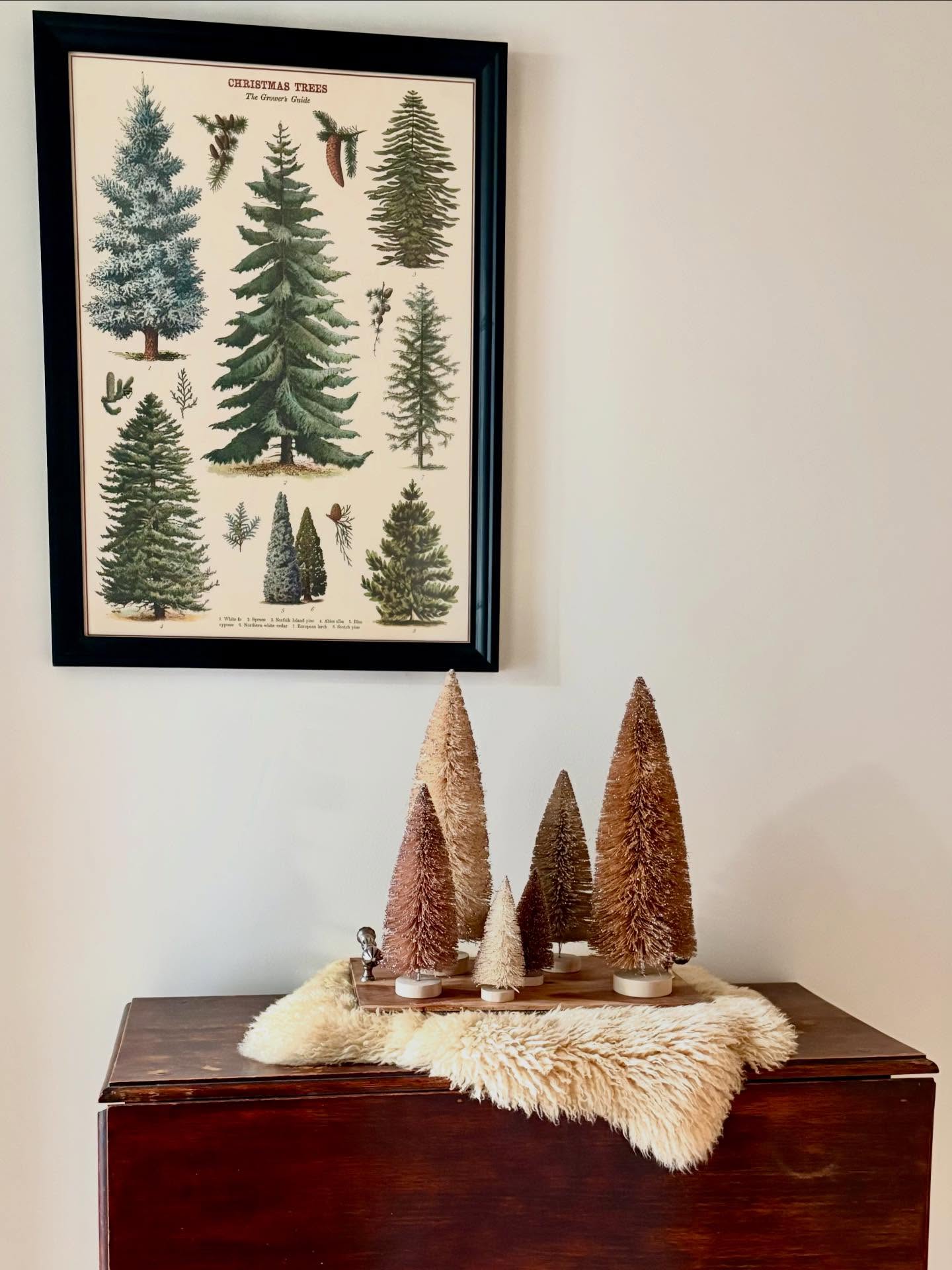 Guess how many faux furs I own for my winter decor.⬇️
I can’t help myself they, look good everywhere this time of year.