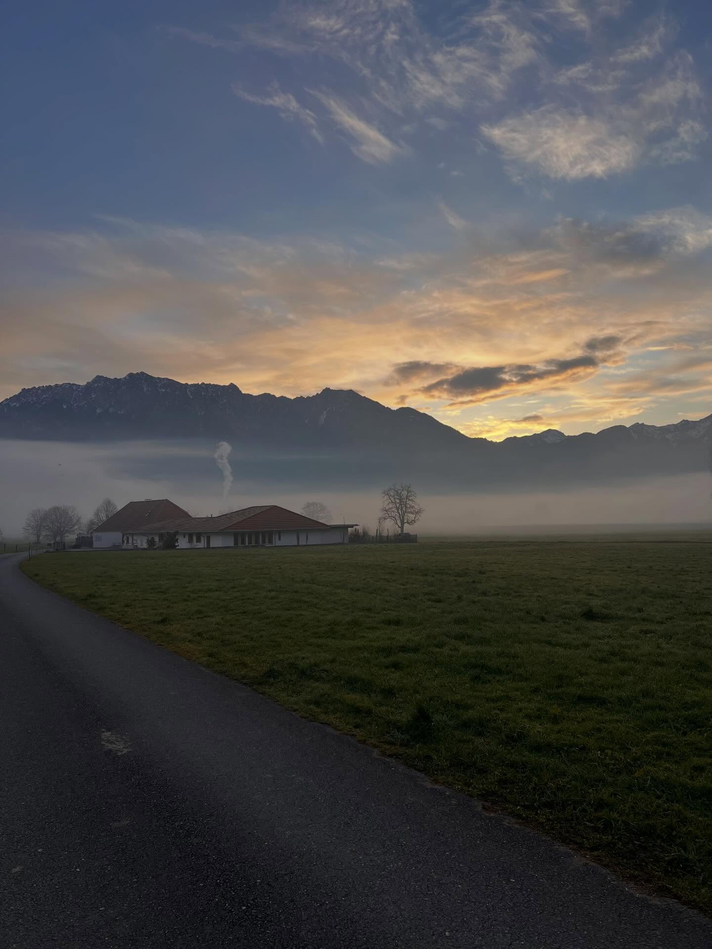 Unser Storchennest im Morgenzauber.