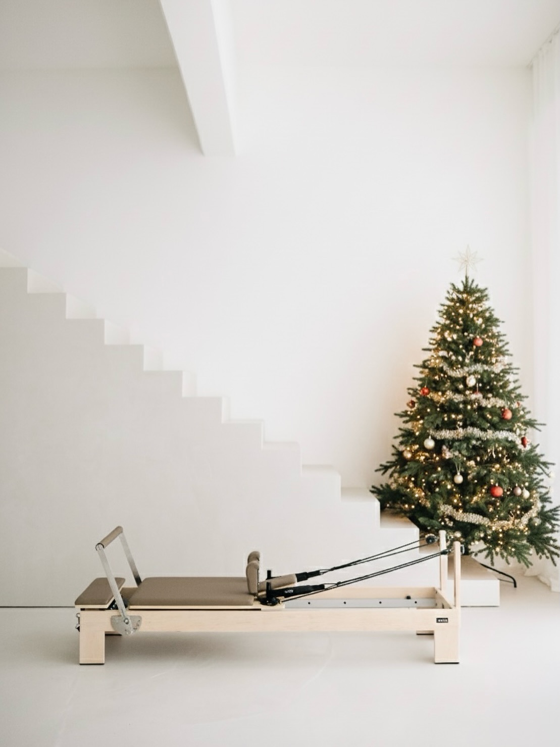 Getting ready for the holidays 🎄