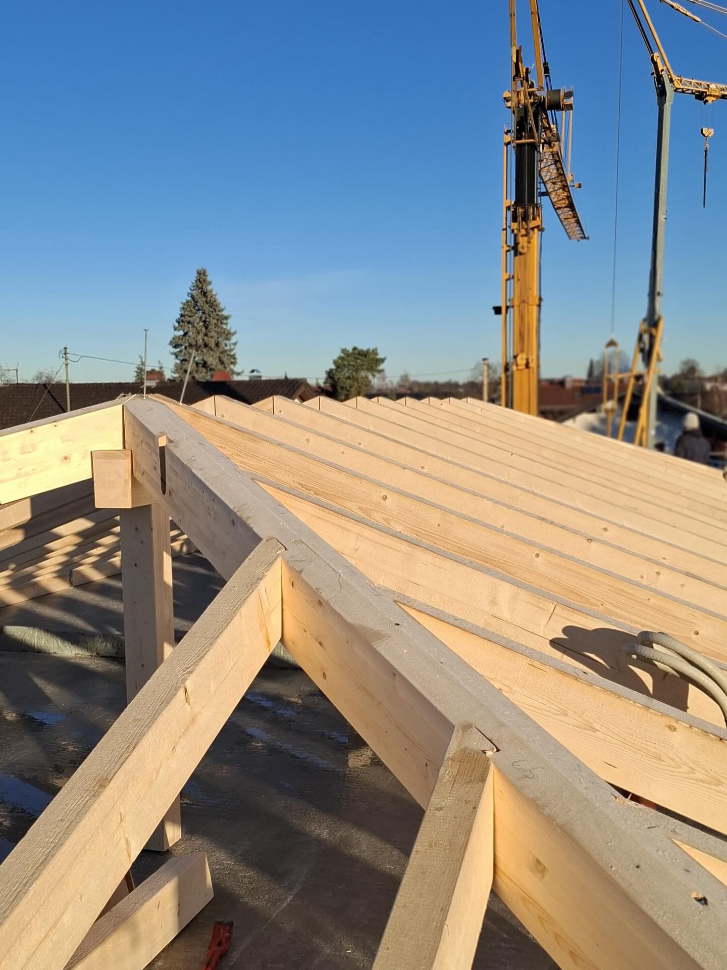 Endspurt auf der Baustelle💪🏽
Wir schließen die letzten Projekte für dieses Jahr ab – hier ein Einblick, wie wir gerade den Dachstuhl für ein Doppelhaus aufstellen.
Zum Glück ist das Wetter auf unserer Seite und wir können alles wie geplant umsetzen. 🏠☀️
#endspurt #letztebaustelle #zimmereiniederthanner #handwerk #dachstuhl