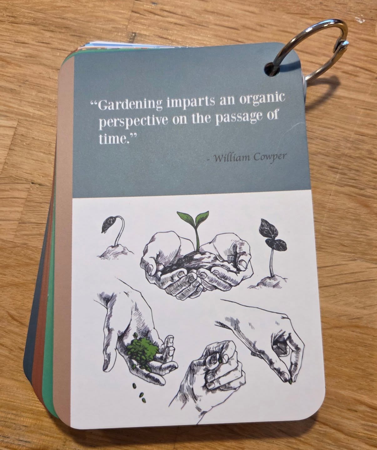 Gardening imparts an organic perspective on the passage of time
Nature's calendar... what projects would you like in your outdoor space next year? Let us know.