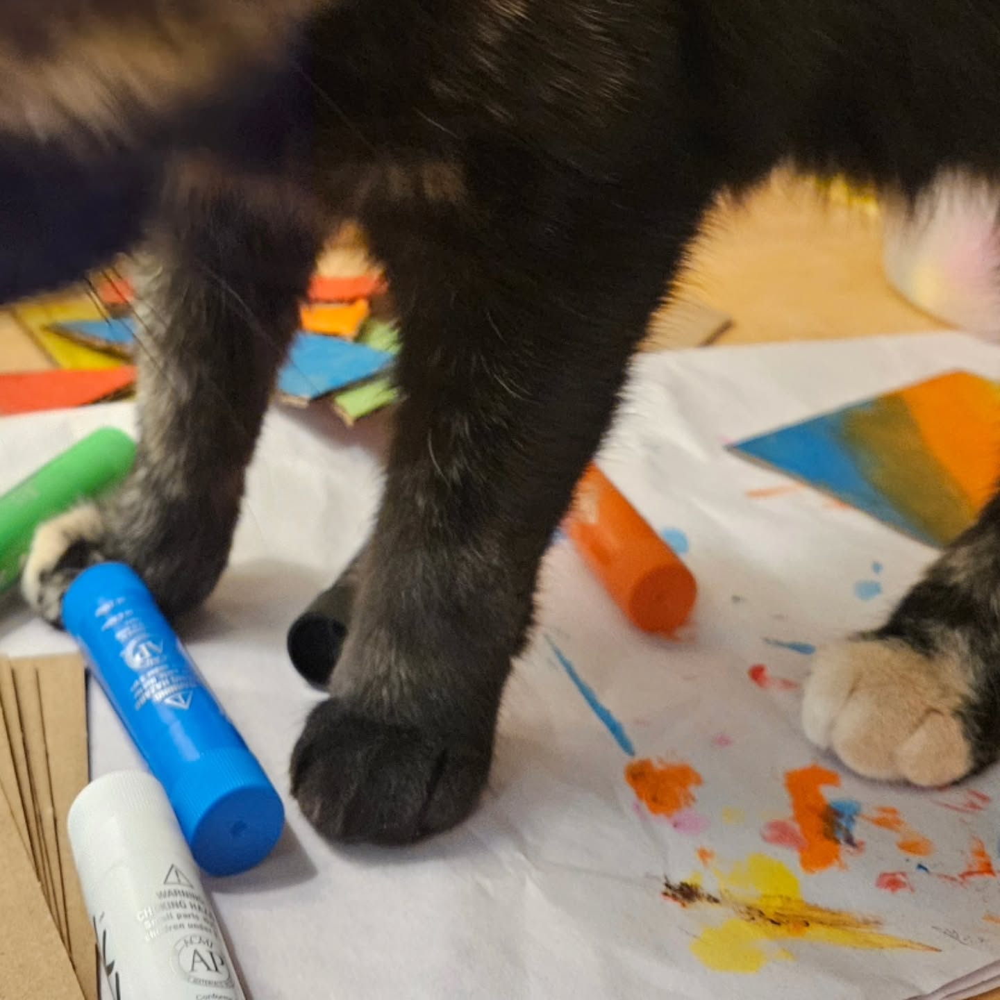 Miss Pickles finding her zen by crafting.
New cozy craft night coming soon, sensory friendly 🥰🕯🐈
#cozyartist #concordnh #catsofinstagram