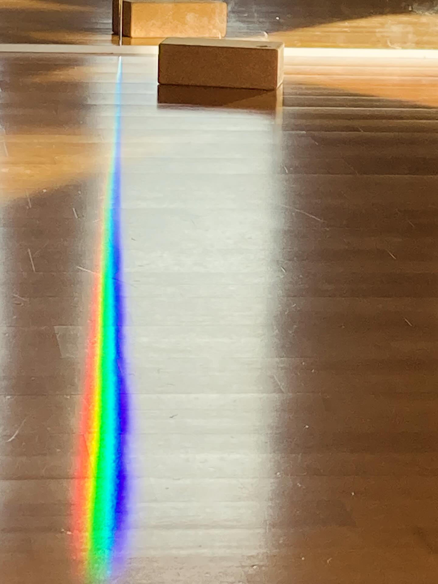 Séance de yoga à Broons ce matin! Magique 🌈
C’était la dernière séance cette semaine et cette année! Mais si vous voulez essayer le yoga, c’est pas trop tard pour commencer- reprise le 5 janvier 2026. Tout le monde est bienvenu. Rejoignez les séances - liste des jours/ horaires différents en bas. N’hésitez surtout pas à me contacter.
Merci à toutes et tous de dérouler votre tapis avec moi et de me faire confiance pour vous aider dans votre parcours de yoga. Mille merci !
J’attends avec impatience nos prochains cours.
Bonne fêtes et à l’année prochaine !
Un retour de nouvelle élève:
“J’ai découvert le yoga depuis septembre seulement. Cela me fait un bien fou émotionnellement. La prise de recul, l’écoute de mes besoins personnels malgres une vie bien chargé, famille, enfants, boulot... Un temps pour soi que je partage aussi avec mes enfants avec une vidéo que Evi nous a partagé et qui nous permet de nous endormir lorsque les émotions sont trop forte. Une vrai bouffé d’air ❤️🫶 merci Evi pour ta douceur et ta bienveillance.” Christelle ( merci Christelle pour ton retour, ça me touche! )
Planning janvier 2026
✨Dinan , La Source
Lundi 12h15-13h30
✨Saint Meloir des Bois (15 min de Dinan)
Lundi 16h15-17h45
Lundi 19h-20h30
✨Broons
Mercredi 18h-19h15
Mercredi 19h30-20h45
✨Pluduno
Jeudi 9h30-11h
✨Dinan, Lehon
Jeudi 19h-20h30
✨Broons
Vendredi 10h-11h15
Vendredi 11h30-12h45
.
Evi Sola Yoga
Professeur diplômée de Yoga (Adultes/ Enfants)
www.evisolayoga.com
07.74.88.72.18