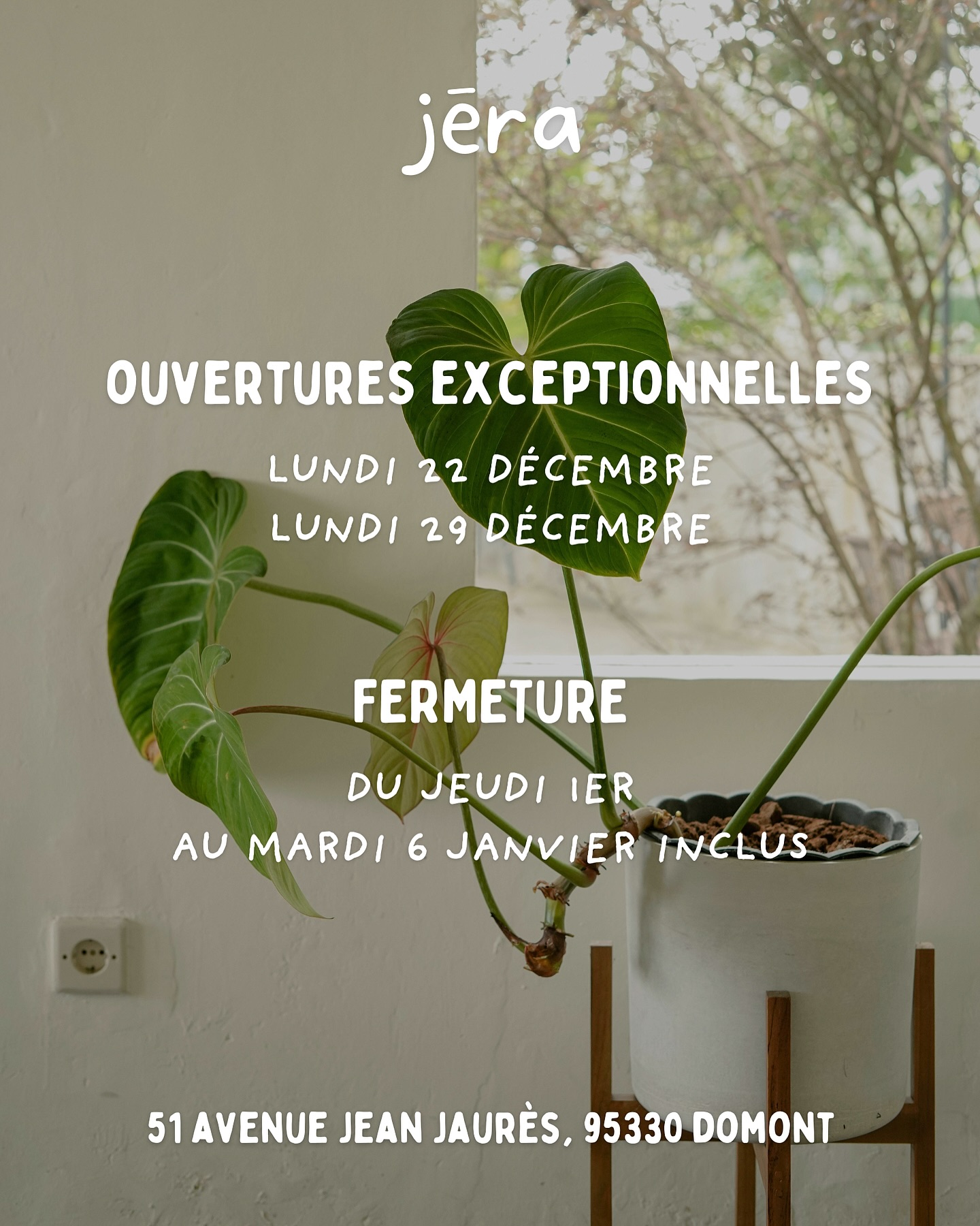 🎅🏼 NOS HORAIRES PENDANT LES FÊTES 🎅🏼
On adapte nos horaires afin de vous aider à trouver le cadeau parfait pour illuminer vos fêtes ✨
⚠️ La boutique sera exceptionnellement ouverte :
🌱 lundi 22 & lundi 29 déc : de 10h à 13h & de 15h à 18h
🌱 mardi 23 & mardi 30 déc : de 10h à 18h
🌱 mercredi 24 & mercredi 31 déc : de 10h à 17h
Après ça, nous prendrons quelques jours de repos bien mérités du jeudi 1er au mardi 6 janvier inclus ✌🏼
Des bisous 💚
📍 Jēra, 51 avenue Jean Jaurès, Domont
👉🏼 www.jeraplantshop.com
#jeraplantshop #jardinerieurbaine #plantslovers #greenlovers #plantesrares