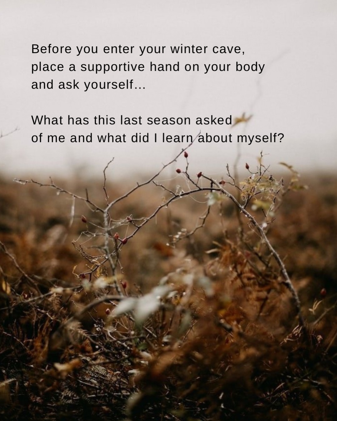 This is why we pause.
To offer ourselves an anchor at the turn of a season or when we find ourselves at a threshold.
Turning seasons, breaks in routine and the years (calendar) end offer us a reminder to tend to ourselves, to dust ourselves down, as we settle into winters dreamtime.
Journaling at the edge of a season helps us close the last season, lay down what cannot come forward with us and listen to what remains.
Yule calls us into rest. Into darkness & restoration. If we can be in stillness we often find life knows what to do and we no longer need to know what our next step should be.
If you’re feeling called to do winter differently,
maybe begin here…
Put pen to paper and see what wants to meet you.
You might be surprised by what’s been waiting to be seen.
Wishing you softness as we approach the darkest night of the year.
Ali xx
#slowdown #seasonalliving selfhealing
journaling / self care / self discovery / spiritual journey / nature is healing / medicine women / witch / mother / woman