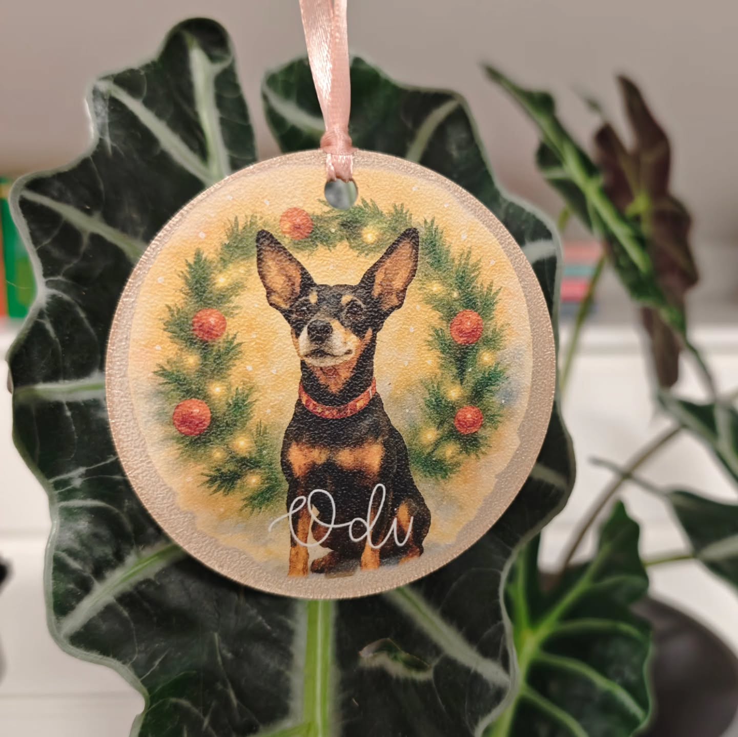 Ker vsak najboljši prijatelj si zasluži svoje mesto tudi na smrečici 🥰
Kako je pa ime vašemu prijateljčku? 🐶