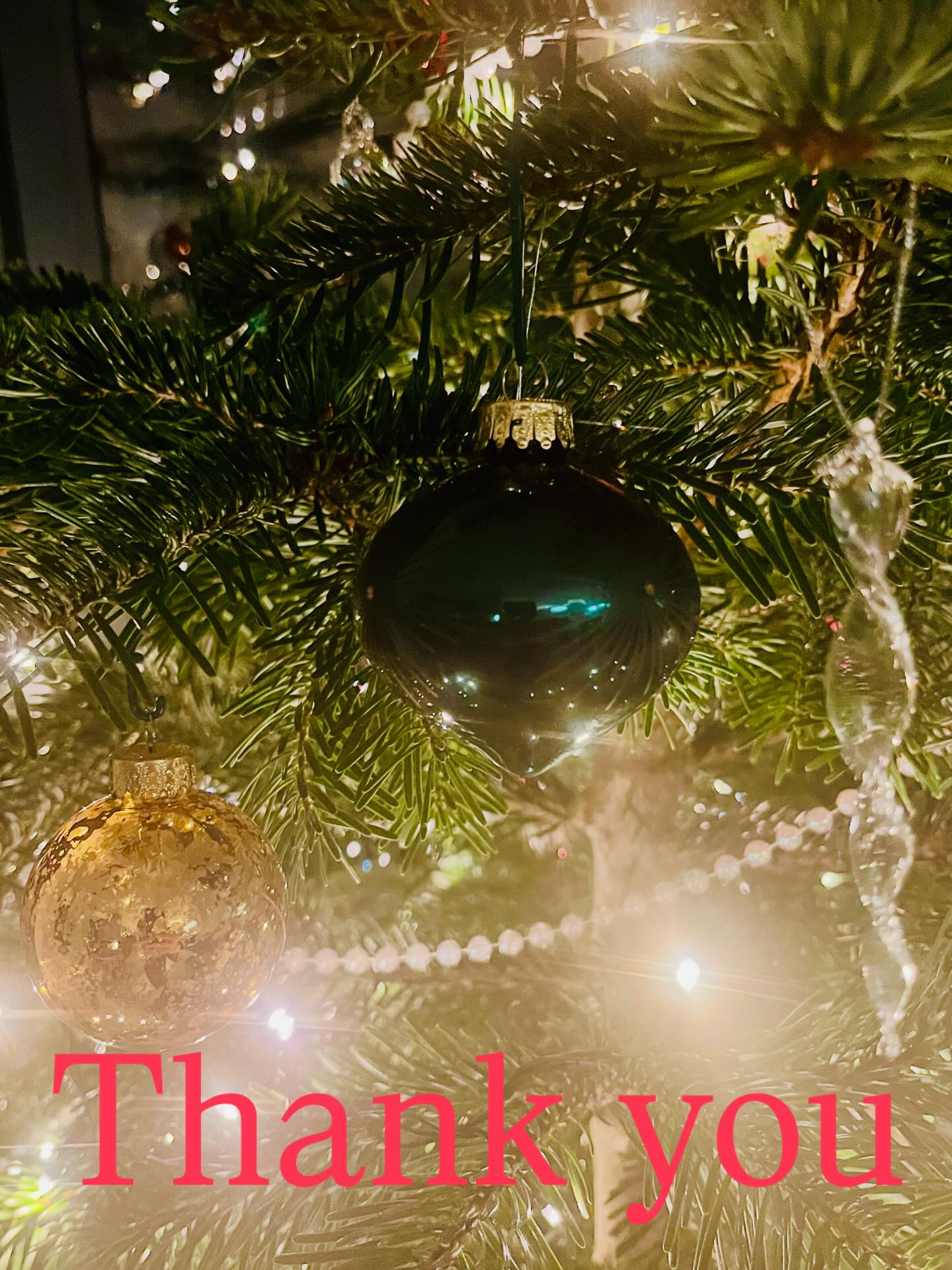 We are signing off for the year this afternoon but before we do we would like to say a few ‘thank you’s.
Firstly, and most importantly, massive thanks to all of the wonderful customers who have chosen Tythorne Garden Design in 2025. It’s been a very busy year which has once again seen us designing new gardens in Grantham, Stamford, Newark, Rutland, Sleaford, Melton Mowbray, Bourne, Spalding, Lincoln, Nottingham and lots of lovely villages in between. Thank you for trusting us with your garden projects.
Thanks also to the wonderful landscapers who help bring our designs to reality. Dave, Dale and Kyle @elitelandscapingltd and Lee, Charlie and Josh @pickwell.paving have worked tirelessly and conscientiously throughout the year and we couldn’t have done it without them.
Thank you to the many wonderful suppliers and plant nurseries who provide the materials, plants and products that are so integral to our designs. There are too many to mention, but particular thanks must go to the teams @allgreengb and @landscapeplus_uk for their amazing products and for their constant support and advice.
Thank you to @nicola.oakey.garden.design and @hpgardendesign for being regular sources of advice, counsel and encouragement, and thank you to Nicola for asking us to help with the relocation of her beautiful RHS Chelsea flower show garden to its forever home in Hull.
Finally, huge thanks to the team behind the wonderful RHS Malvern Spring Festival for helping to ensure our second experience of designing and building a show garden was so much fun. Thank you to Charlie, Kate, Jane, Ben, Paul & Mark and the rest of the @3countiesshows team, and to all the other designers and landscapers at this year’s festival. Special thanks also to @pickwell.paving for once again coming on the show garden ride with us, and to @bloomingbutton for her invaluable help and support with the planting. Thank you also to @herveybrookes for inviting us to spend a couple of days with the planting team on his superb RNIB garden at RHS Wentworth Woodhouse.
So, as 2025 draws to a close, we would like to say Merry Christmas to all of our amazing customers and followers. Here’s to more adventures in 2026!