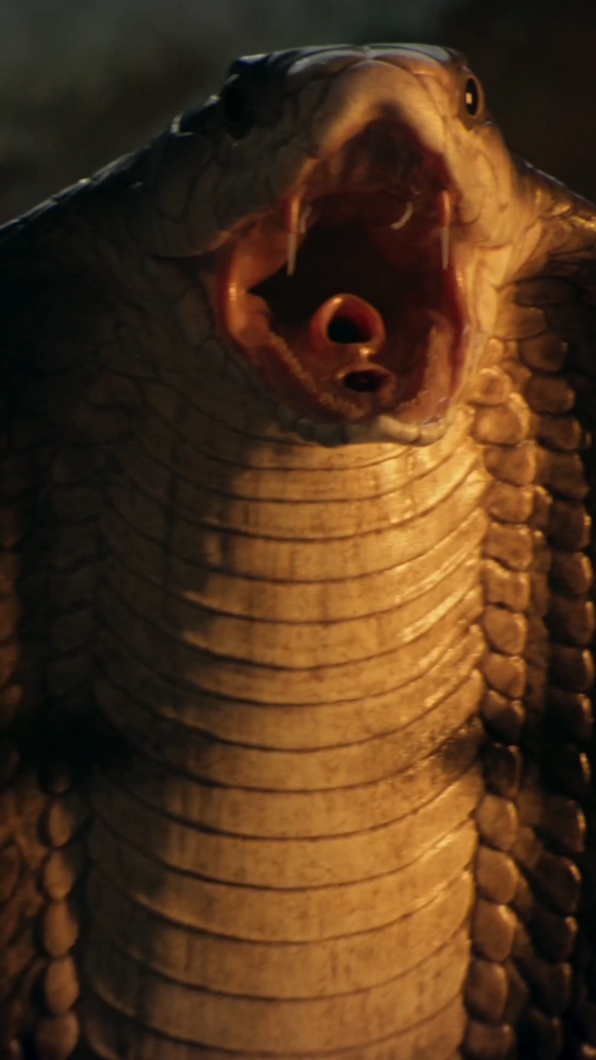 Come promesso, ecco altri segreti dal dietro le quinte di #Sandokan: questa volta è il turno de....