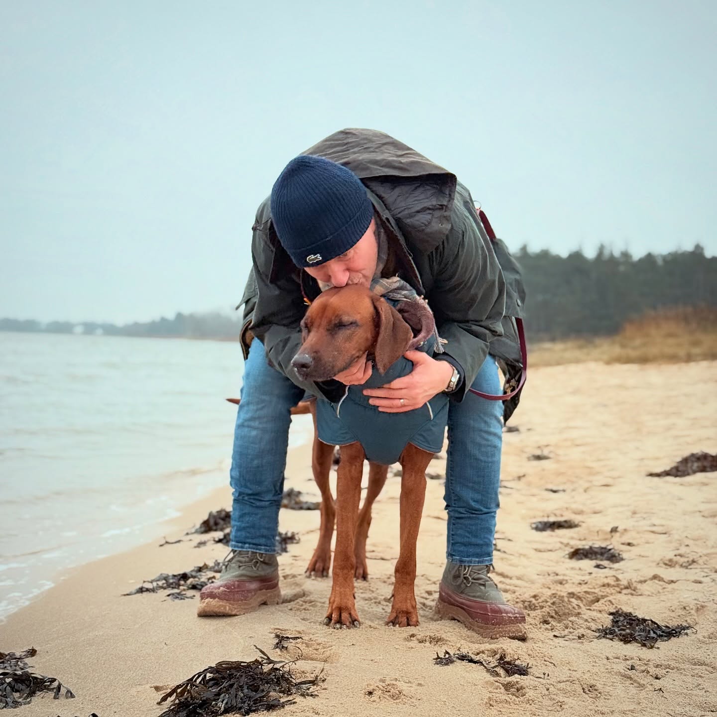 Einmal Küsschen to go, direkt am Wasser serviert😌💋🐕
.
.
#rhodesianridgeback #ridgeback #ridgebacklove #hundeliebe #🐶