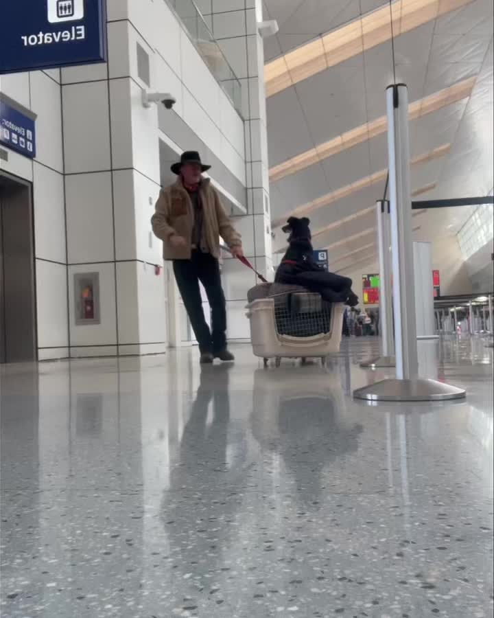 The big Jump ( New Mexico to France )for two and a half months in Occitanie and first walk in Lavalette (Clapiers) with Hopi!
The Lez River after a few weeks of rain.
And my parents' old house