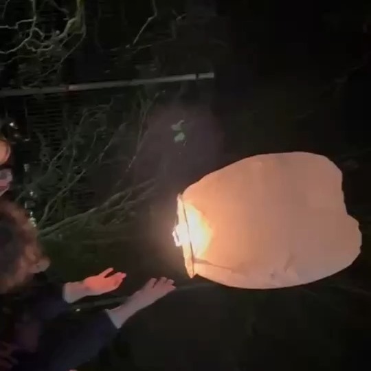 ✨ Des lanternes pleines de lumière, de rêves et de messages… Merci aux élèves pour ces beaux envois 💛
#lanternes #fetedenoel #concertdenoel #ecoleprimaire #ecolematernelle #viescolaire #ecolesaintjosephohain #ecolesaintjoseph #ecolestjosephohain #ecolestjoseph #ecoleohain #ecolelasne #ecolesdubrabantwallon #vivrealasne #communedelasne #ohain #lasne