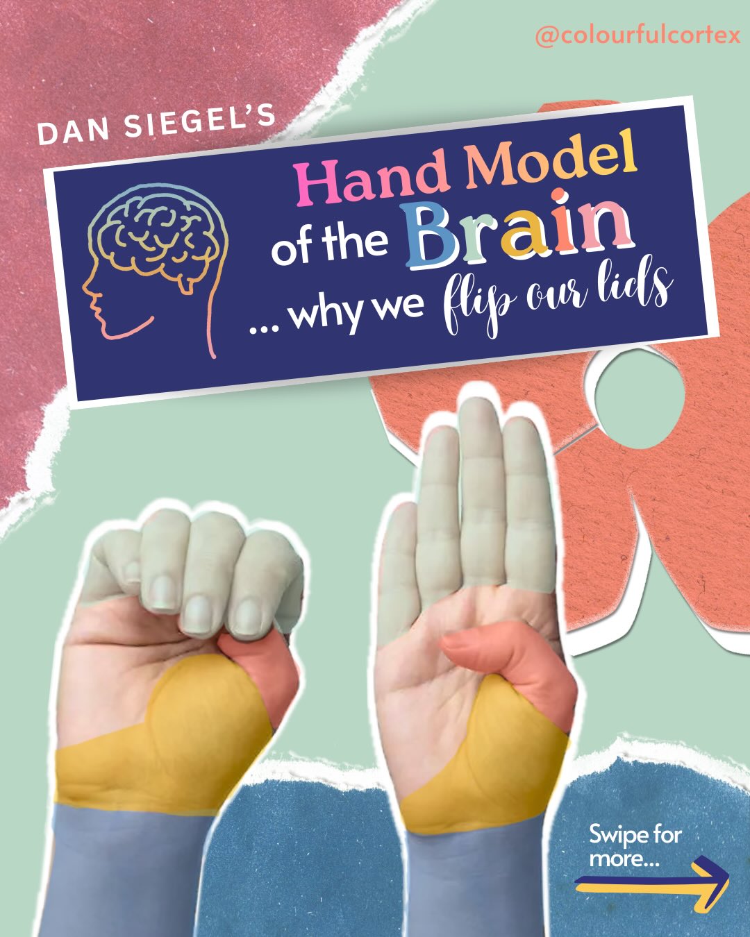 Dan Siegel’s Hand Model of the Brain 🧠 is a simple way to understand what happens in our nervous system when we feel calm, stressed, or overwhelmed.
When we are regulated, our fingers are down and the brain is working together.
When we feel overwhelmed or triggered, we flip our lid. The fingers lift and the thinking brain goes offline, leaving the emotional brain in charge.
This model helps normalize emotional reactions and reminds us that regulation is a skill, not a personality trait. With support, safety, and practice, we can bring the fingers back down and reconnect with ourselves and others.🤍
#mentalhealth #counseling #counselor #emotions #therapy