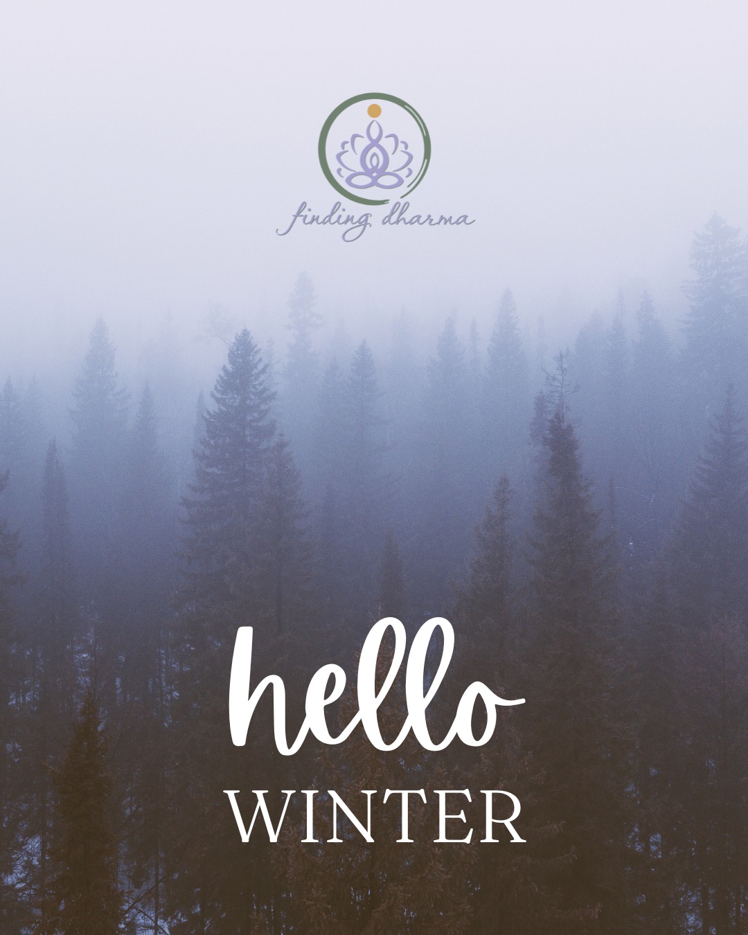 Today we meet the Winter Solstice, the longest night of the year and a sacred pause in the turning of the seasons. This is a time to honor the quiet, the rest, and the wisdom found in stillness, while also remembering that the light begins its return.
Take some time today to reflect on this past year:
๐ What youโve learned about yourself
๐ Where youโve shed what no longer serves you
๐ How youโve grown and shifted, and
๐ Where youโd like to go in the coming year (name 2โ3 areas you want to focus on)
May this Solstice offer you space to reflect on what has been released, what has been learned, and what is gently preparing to be born within you.
Wishing you a peaceful and nourishing Solstice.
#findingdharma #WinterSolstice #SeasonalReflection #SacredPause #WinterWisdom #MindfulLiving #InnerGrowth #SolsticeMagic #EmbraceTheStillness #LightReturns