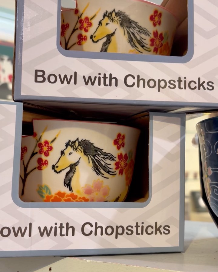 Beautiful and functional porcelain bowls with chopsticks really fun as a set or to mix a match a perennial best seller here at the store! #bowlandchopsticks #ricebowls #msinstreetmiddlebury