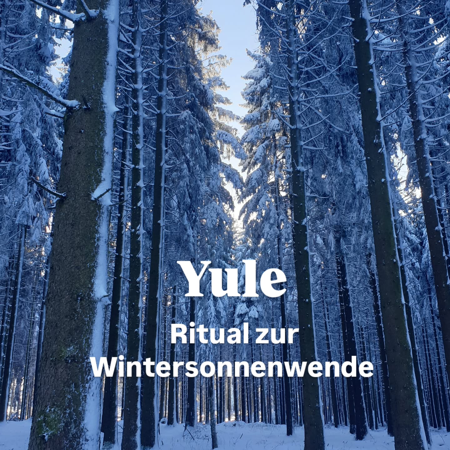 Ein alter Brauch zur Wintersonnenwende 💫
Heute ist Neumond und ein wunderbarer Tag, um dein Ritual für Yule - das keltische Fest der Wintersonnenwende morgen am 21. Dezember vorzubereiten und evtl eine Ritualkerze zu basteln.
Früher war das Feuer bedeutender und gehütetet Bestandteil im Leben der Menschen und du kannst noch heute diesen Brauch für dich nutzen.
Zur Wintersonnenwende wurden alle Feuer gelöscht, um es es dann osinnbildlich wieder zu entzünden. Genau wie das Licht in der Natur, das nach der längsten Nacht wiedergeboren wird.
Ich teile dir dazu mein Ritual, das kannst du als Inspiration für dich nutzen und beliebig für dich anpassen.
🕯Entzünde morgen wenn es dunkel wird eine Kerze in deinem Zuhause. Bitte alles was dir nicht mehr dient, Energien und Seelenanteile, die nicht zu dir gehören, ins Licht (der Kerze) zu gehen.
Frag dich auch, was du bereit bist gehen zu lassen, um zu empfangen.
Anschließend bringst du die Kerze nach draußen oder stellst sie auf die Fensterbank. Lass sie noch eine Weile brennen.
Dann löschst du alle Lichtquellen, sowie die Kerze.
Lass dich von der Dunkelheit umhüllen, verbleibe ein wenig in der Dunkelheit und Stille. Du kannst auch im Dunkeln Räuchern, singen, meditieren, tanken. So dass auch dein Energiefeld sich klären kann.
Wenn du soweit bist entzündest du symbolisch deine Kerze.
Mit der Wiederkehr des Lichts wird in der Natur das neue Leben empfangen. Noch ist es nicht sichtbar, keimt im Dunkeln unter der Erde.
Die Samen, die du jetzt legst, werden bald im Frühjahr sichtbar sein
💛💛💛
Alles Liebe Tina
#Wintersonnenwende #yule #spirituallife