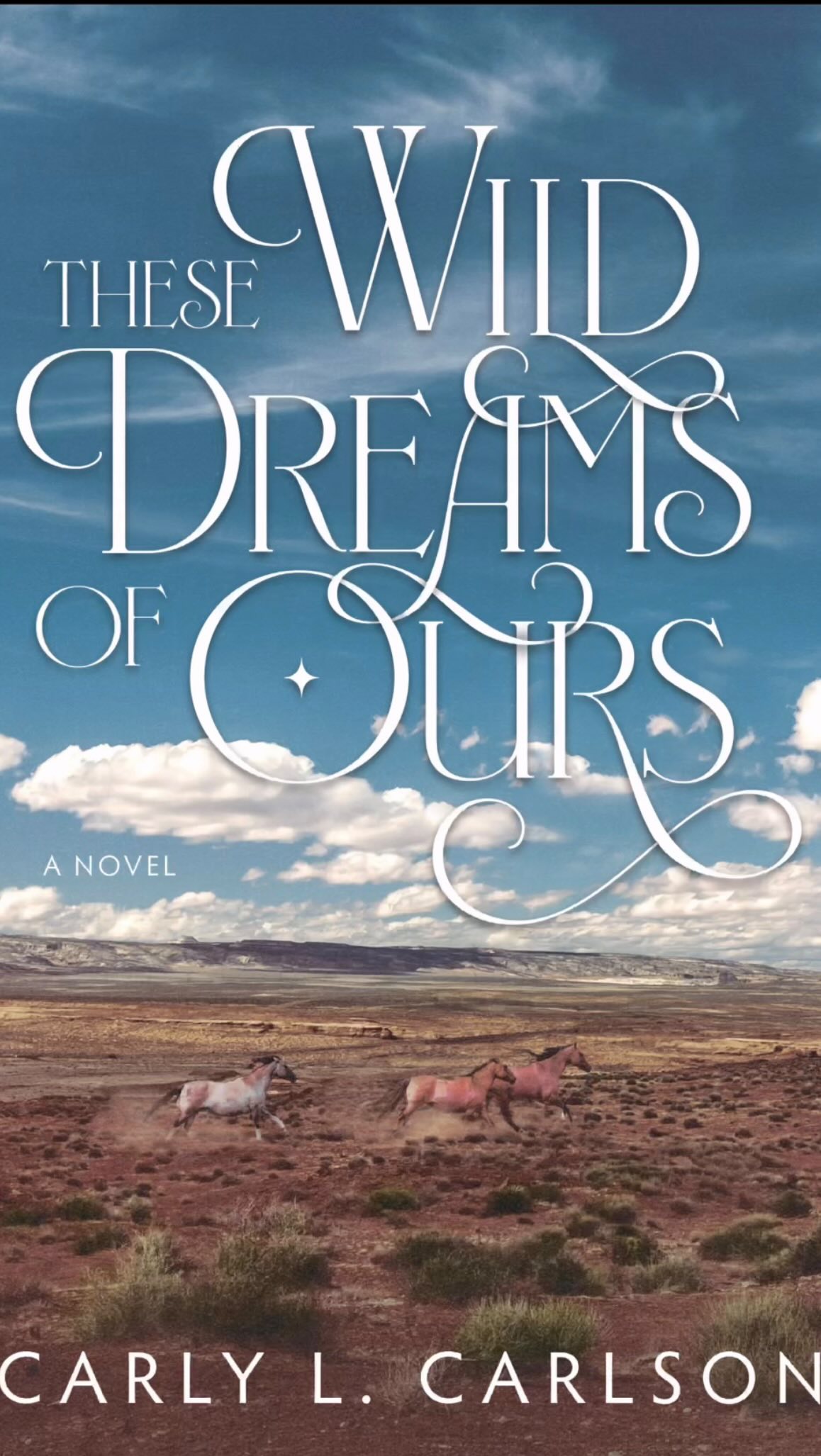 Thank you @carlylcarlson.author and @dksvoiceovers for being a part of our first Storyteller Social!
This is an excerpt from Carly’s book These Wild Dreams of Ours! Check out her and Doranne’s instagrams!
#storytellersocial2025 #christianhistoricalfiction #cleanread #christianbookstagram #audiobooknarrator