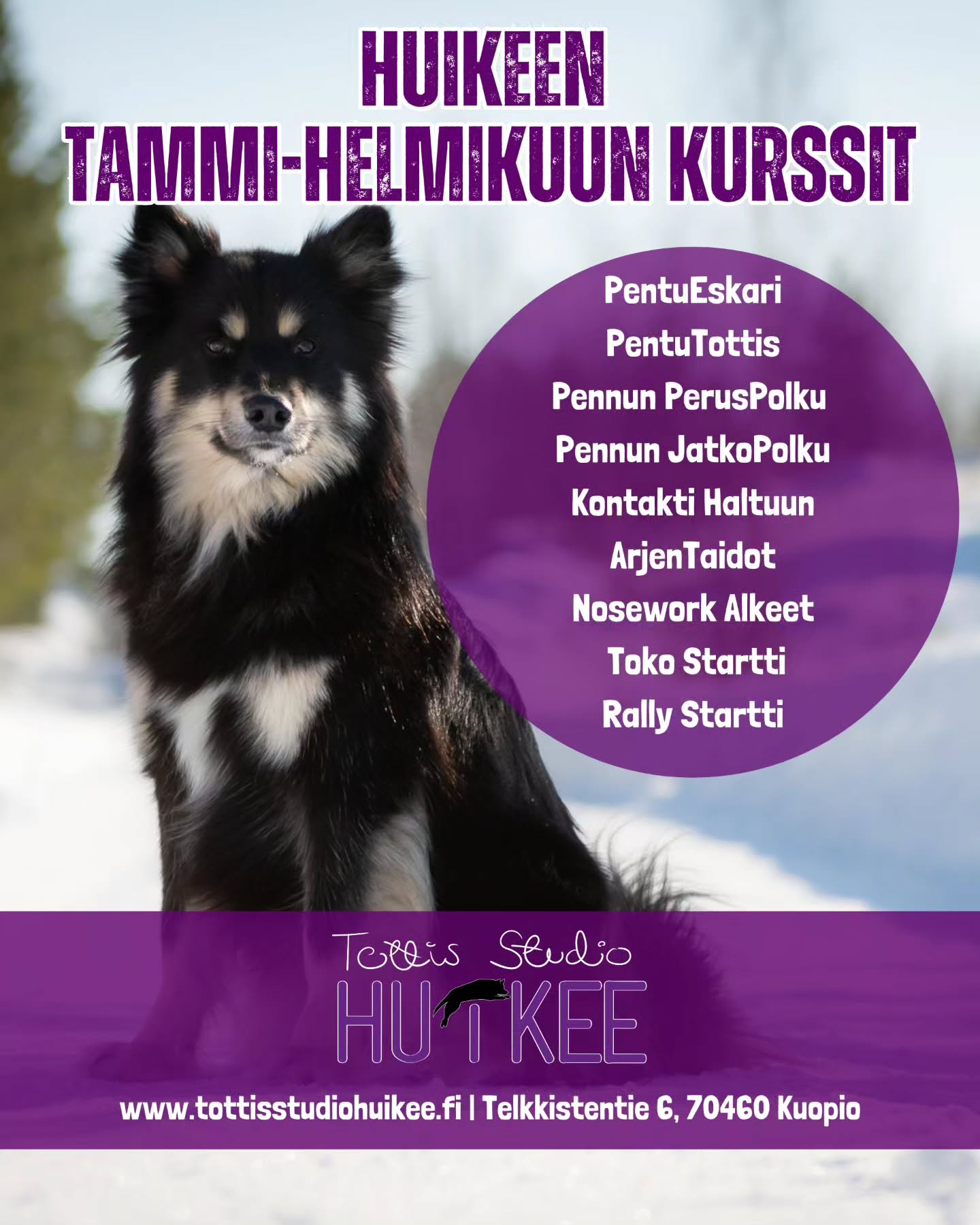 💜 HUIKEEN TAMMI-HELMIKUUN KURSSIT! 💜
Talven kaikki kurssit sisällä lämpimässä HuiKeen hallilla 🐾
ALKAVAT KURSSIT
🟣 Pennuille
✨️ PentuEskari
✨️ Pennun PerusPolku
✨️ Pennun JatkoPolku
✨️ PentuTottis
🟣 Arkeen aikuisille koirille
✨️ Kontakti Haltuun
✨️ ArjenTaidot
🟣 Harrastukset ja eri lajit
✨️ TOKO Startti
✨️ Rally Startti
✨️ Nosework Alkeet
🟣 POP UP -treenit
✨️ 28.12 klo.15-16 Pentutreffit
✨️ 28.12 klo.16-17 Puuhatunti
✨️ 28.12 klo.17-18 Arkitottis
ILMOITTAUDU MUKAAN JA KURKKAA LISÄTIETOJA:
✨️ https://www.tottisstudiohuikee.fi/
✨️ https://slotti.fi/booking/tottisstudiohuikeeoy/#/
Tervetuloa! ❄️
#tottisstudiohuikee #koirankoulutus #koirahalliKuopio #koirakoulukuopio #koirakoulu #Kuopio #siilinjärvi