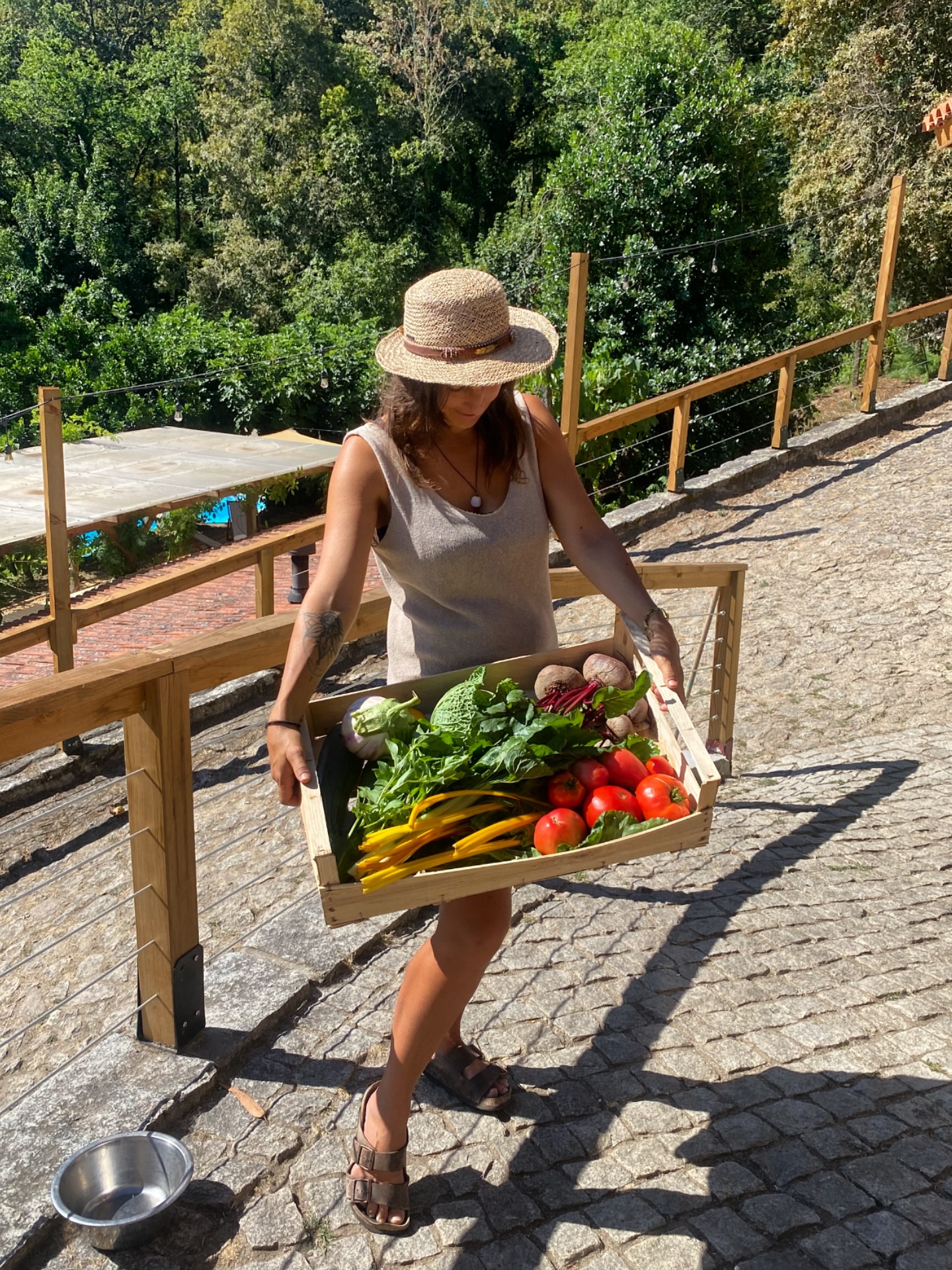 Beautiful veggies!
When we cook for our holiday or retreat guests, we like to use local and organic veggies from our friends of Quinta Magica.
If you’ve ever tasted one of them sun riped tomatoes, you know why! That’s what a tomato should taste like 🍅
From their farm to our table ❤️
•
@quinta_magica
#organicveggies #farmtotable #organiccooking #devezacooking #landofdeveza #glampingportugal #dinnernight