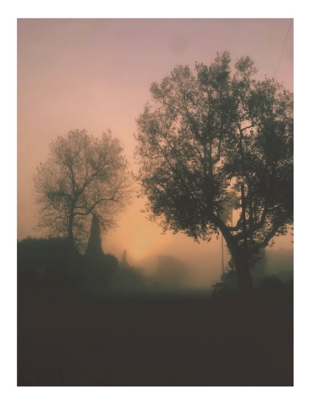 Glædelig solhverv…
Lyset skruet ned,
bag sorte træer.
Stilhed drypper tæt,
fra alle grene.
Trygt at være,
andres varme nær.
Ondt at være ensom,
og alene.
Ruden løber fuld,
af mørket nu.
Fjernt et tog,
og havets dybe bulder.
Nærmest alt i verden,
sidder du.
Og en stjerne gynger,
på dine skulder.
- Halfdan Rasmussen
Billede via @chloecrespi
______________________________________
#magiidecember
#solhverv