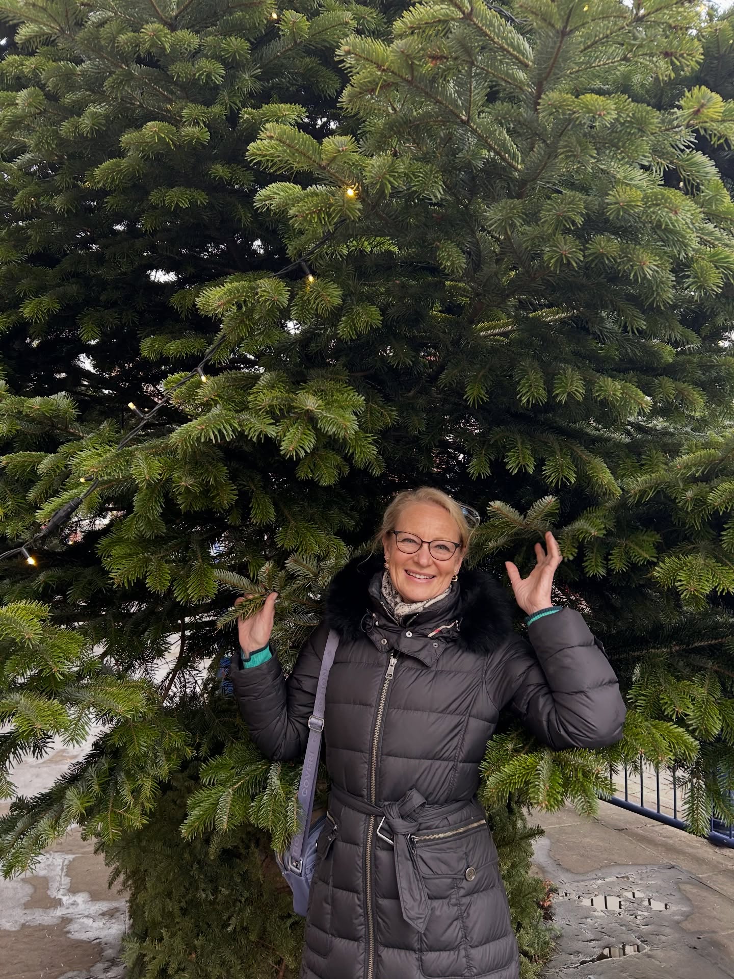 The festive break is nearly here 🎄 Wishing everyone a happy restful break and time with loved ones.