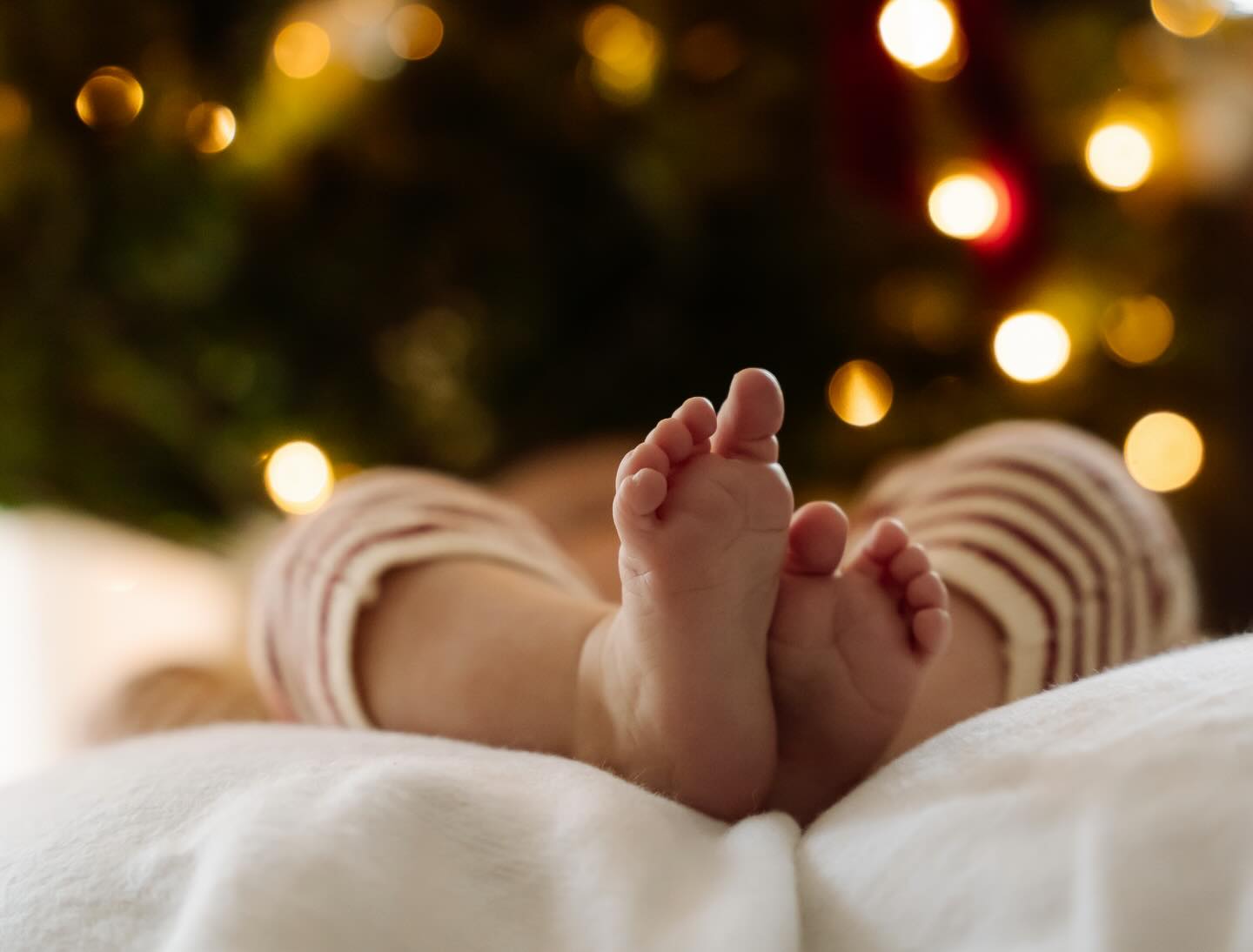 Maandag mag ik weer een lieve baby op de foto zetten 🤎
Nu ik zelf moeder ben geworden snap ik dat iedereen altijd zegt dat de tijd zo snel gaat. Het is ook echt zo!
Daarom is een newbornshoot zo waardevol. Leg die kleine snoetjes vast, of je dit nu zelf doet of nog leuker mij dit laat doen!
Nog profiteren van de huidige prijzen? Boek dan nu alvast jouw shoot voor volgend jaar of koop een cadeaubon! 📸