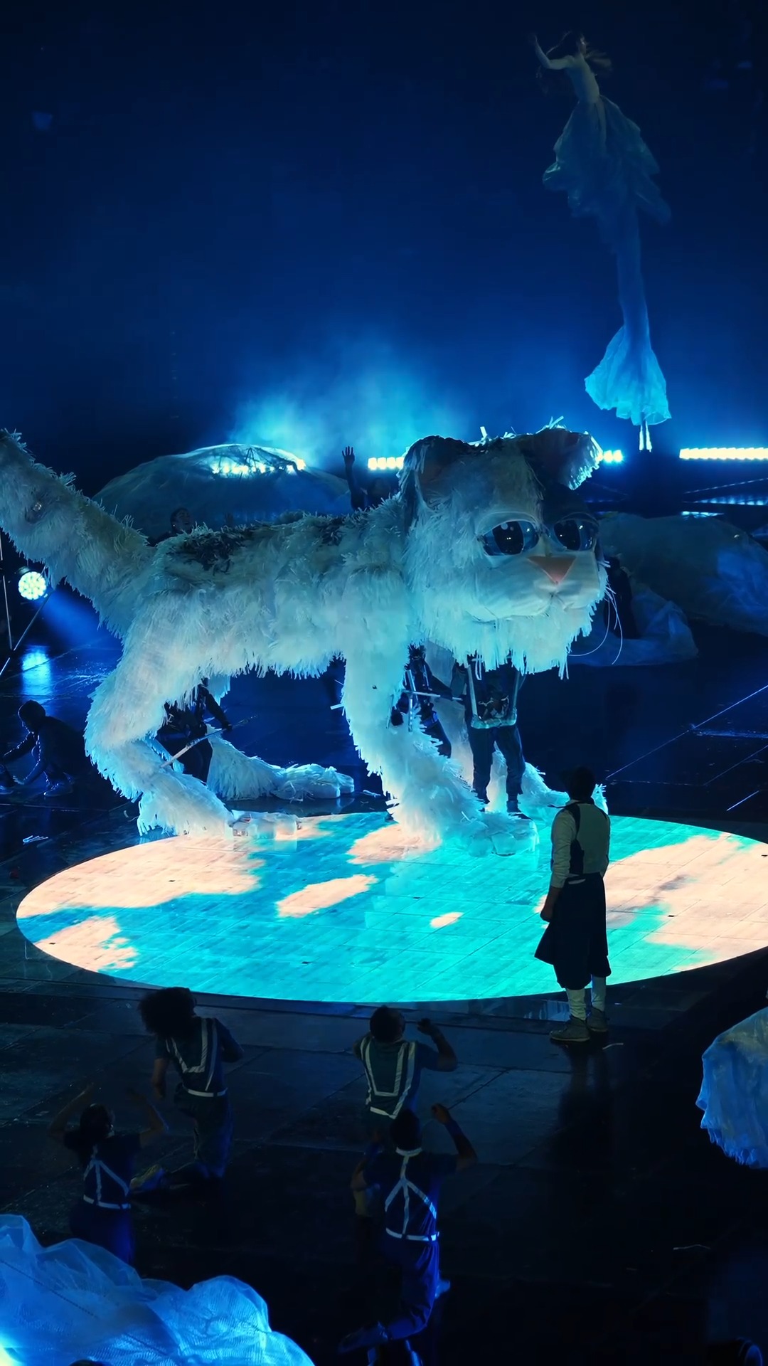 ¡Más allá de las nubes narra la historia de una niña que en compañía de su gato, viaja al mundo de las nubes para traer un mensaje urgente a nuestra ciudad!
Circo, danza y música en vivo en un espectáculo monumental para toda la familia. 🤸♀️🎶
📅 Últimas funciones hasta el 23 de diciembre.
📍 Plaza Cultural La Santamaría
⏰ Funciones: 7:00 p.m. y 9:00 p.m.
🎟️ Entrada libre hasta completar aforo
La Plaza se llena rápido porque la magia corre la voz. Asegura tu lugar desde los primeros días y sé de los primeros en descubrir el mensaje que Cielo tiene para Bogotá
Bogotá sueña Más allá de las nubes en la Plaza Cultural La Santamaría. ☁️
@CulturaenBta @alcaldialocalsantafe @alcaldiadelacandelaria @idrdbogota @alcaldiabogota
#NavidadEsCultura2025 #BogotaSoñada #MasAllaDeLasNubes
Una producción de Al Alba Producciones en alianza con La Gata Cirko.
@alalbaproducciones @lagatacirko
Producción general: Al Alba Producciones @alalbaproducciones
Dirección artística: Felipe Ortiz @felipe.moves
Dramaturgia: Johan Velandia @johanve_land
Compositor y Director musical: Javier Ojeda @javocaravan
Realización de video: @colibri.film
Marketing digital: Bibiana Castillo @soybibicastillor