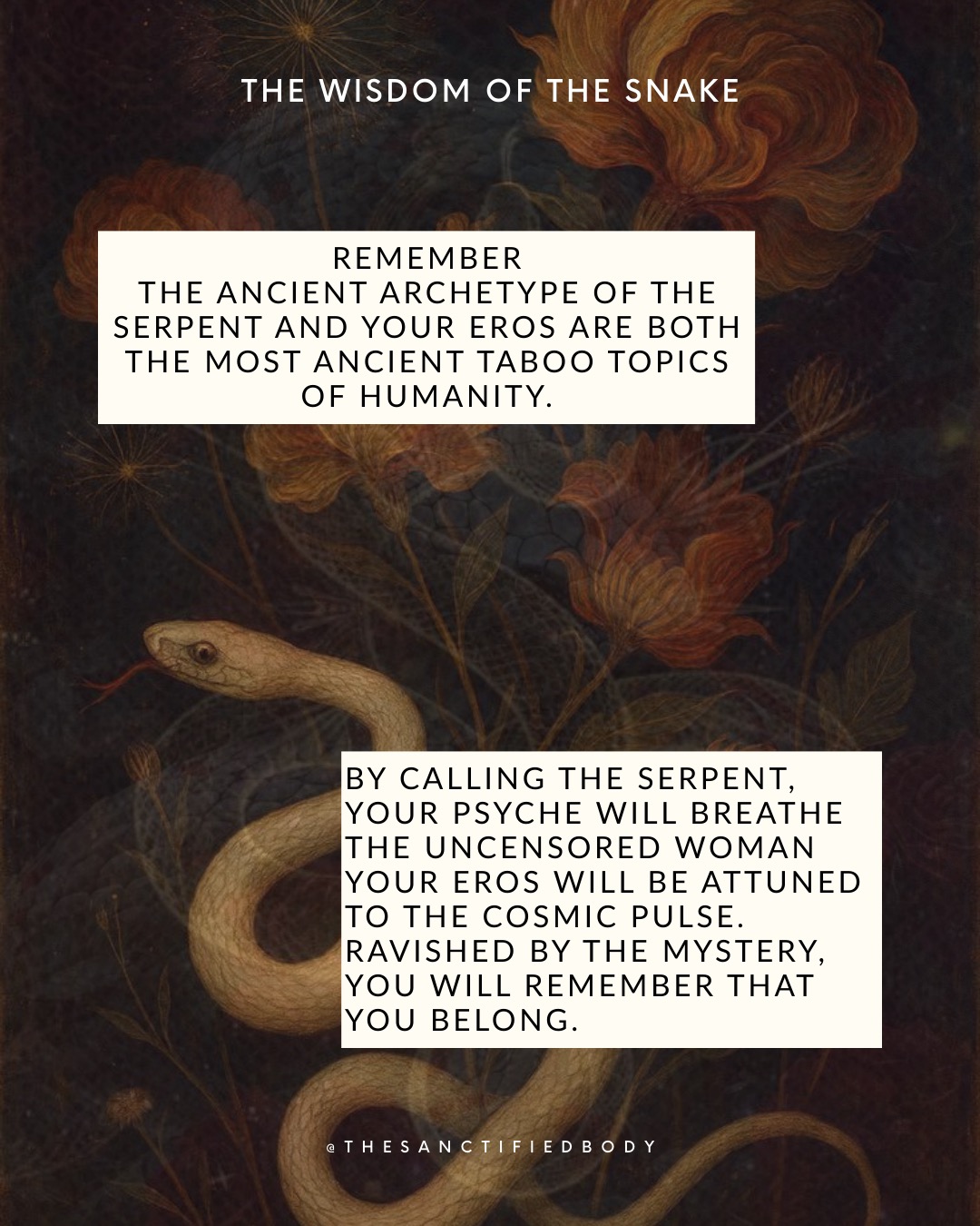 Tomorrow Dec 20, I will hold The Circle of the Serpent.
While bathing into the realm of the archetypal Serpent, I am amazed to feel how this archetypal force has been permeating the collective unconscious since thousands years.
The Serpent is still here intact despite all the numerous attempts to eradicate her. So is the Feminine.
The archetype of the Serpent is a portal to expand the complexes layers of who we are as human. No wonder our DNA is designed on the spiralling Serpent which is connected the intelligence of creation, belly always on the Earth or in the womb of the Earth.
One of her gifts is the precious remembrance that we belong to this earth and life AS WE ARE. No wonder, the Serpent has been demonised : there is no greater relief and freedom to Know that we can drop the mask and pleasing mode to simply Be.
Attuned to the higher frequency of Being, our psyche and body can soften in the remembrance that we belong.
Listen to the elements,
winter, new moon and solstice are whispering to each of your cells that it is time to find solace into the darkness of the warm womb of Creation, to shed what does not longer serve you as the year of the Snake is ending...
There is still time to join the Circle of the Serpent, DM me or register in bio.🐍🌹
#consciousnessshift #serpentanddove #womenempowerment #femininewisdom#wombwisdom #femininerising #feminineenergy #goddessenergy #sacredfeminine #femininearchetypes #womencircle #darkfeminine #pythia #wombwellness #impostorsyndrome #feminineleadership #eros #patriarchy #wildwoman #spiritualwoman #pythia