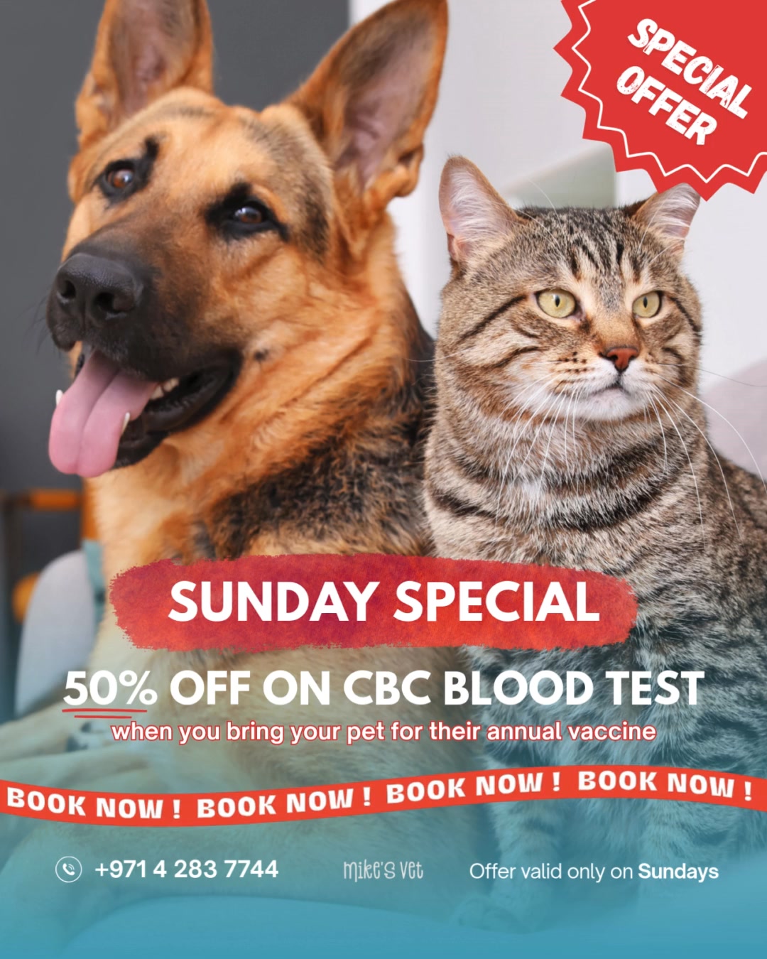 🐾 Sunday Special at Mike’s Vet 🩵
Bring your cat or dog for their annual vaccine on Sundays and enjoy 50% OFF a CBC blood test! 💉
A CBC (Complete Blood Count) test is an important health check before vaccinations. It helps detect hidden issues like infections, anemia, or immune problems that may not show symptoms yet. Knowing your pet’s health status ensures their vaccine is safe and effective, and helps prevent potential complications.
Book your Sunday visit today and give your little friends the care they deserve! 🐾
☎️ +971 4 283 7744