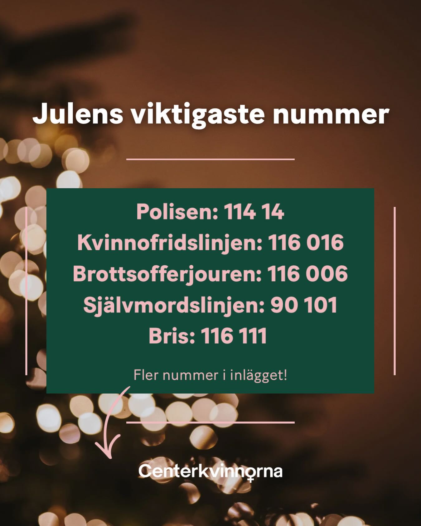 Var en god medmänniska under jul och nyår. Hjälp oss i kampen mot mäns våld i hemmet som drabbar kvinnor och barn. Kolla efter signaler hos en kompis, barnens vänner och knacka på dörren om dina grannar bråkar. Om du inte vågar knacka själv, ring alltid Polisen. Sprid dessa nummer som kan hjälpa många vuxna och barn under julen.
Polisen: 114 14
Kvinnofridslinjen: 116 016
Brottsofferjouren: 116 006
Självmordslinjen: 90 101
Bris: 116 111
Och:
Anonyma Alkoholister: 08-720 38 42
Anonyma Narkomaner: 0771-13 80 00
Anhöriglinjen: 0200–239 500
Vi på Centerkvinnorna önskar er alla en fridfull och lugn jul-och nyårshelg.
Glöm nu inte att visa civilkurage. Det är inte lätt, men genom att vara modiga kan vi rädda andra människor och vinna mot våldet.