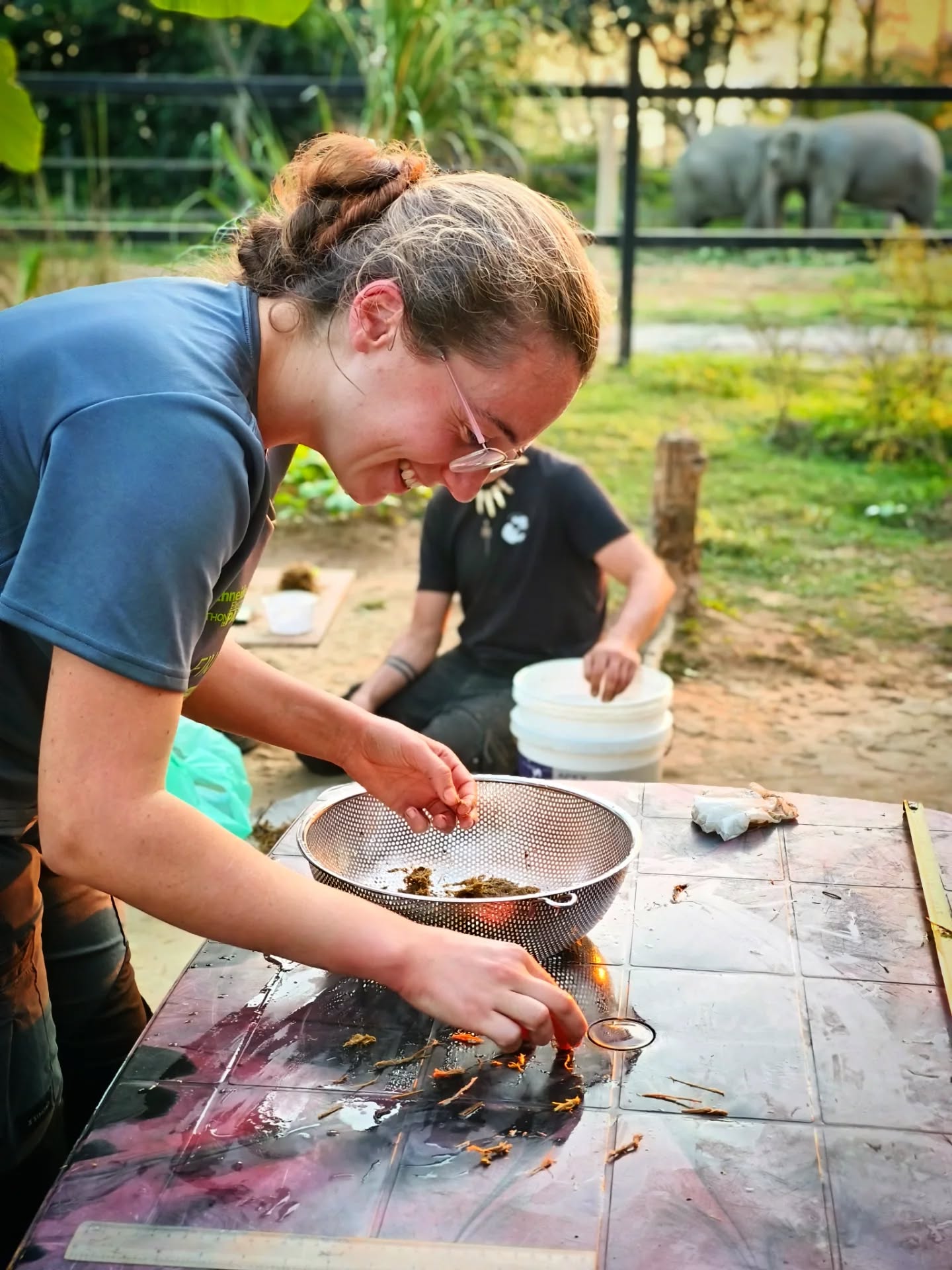 🇫🇷 Français
Un immense merci à Chloé Paquet, vétérinaire au PAL, qui nous a fait l’honneur de venir nous prêter main forte pendant un mois auprès de nos éléphants. 🐘💚
Merci pour ton incroyable investissement, le nombre incalculable d’heures de travail, ta patience, ton professionnalisme, ta capacité d’adaptation et ta grande gentillesse.
Ton soutien a été précieux, tant sur le plan vétérinaire que humain, et ton engagement a eu un impact concret et durable sur le bien-être de nos éléphants.
Nous sommes profondément reconnaissants de cette collaboration et espérons pouvoir la poursuivre à l’avenir. 🙏✨
🇬🇧 English
A huge thank you to Chloé Paquet, veterinarian at Le PAL, who honored us by coming to support our team and our elephants for one full month. 🐘💚
Thank you for your incredible dedication, the countless hours of hard work, your patience, professionalism, adaptability, and above all, your kindness.
Your contribution has been invaluable, both from a veterinary and a human perspective, and your commitment has made a real and lasting difference to the well-being of our elephants.
We are deeply grateful for this collaboration and sincerely hope it will continue in the future. 🙏✨
#thankyou #gratitude #veterinarian #elephantwelfare #conservation ngo nepal elephants teamwork merci gratitude veterinaire elephantwelfare conservation ong nepal elephants travaildequipe
@chlo_paq @fondationlepalnature @lepalofficiel